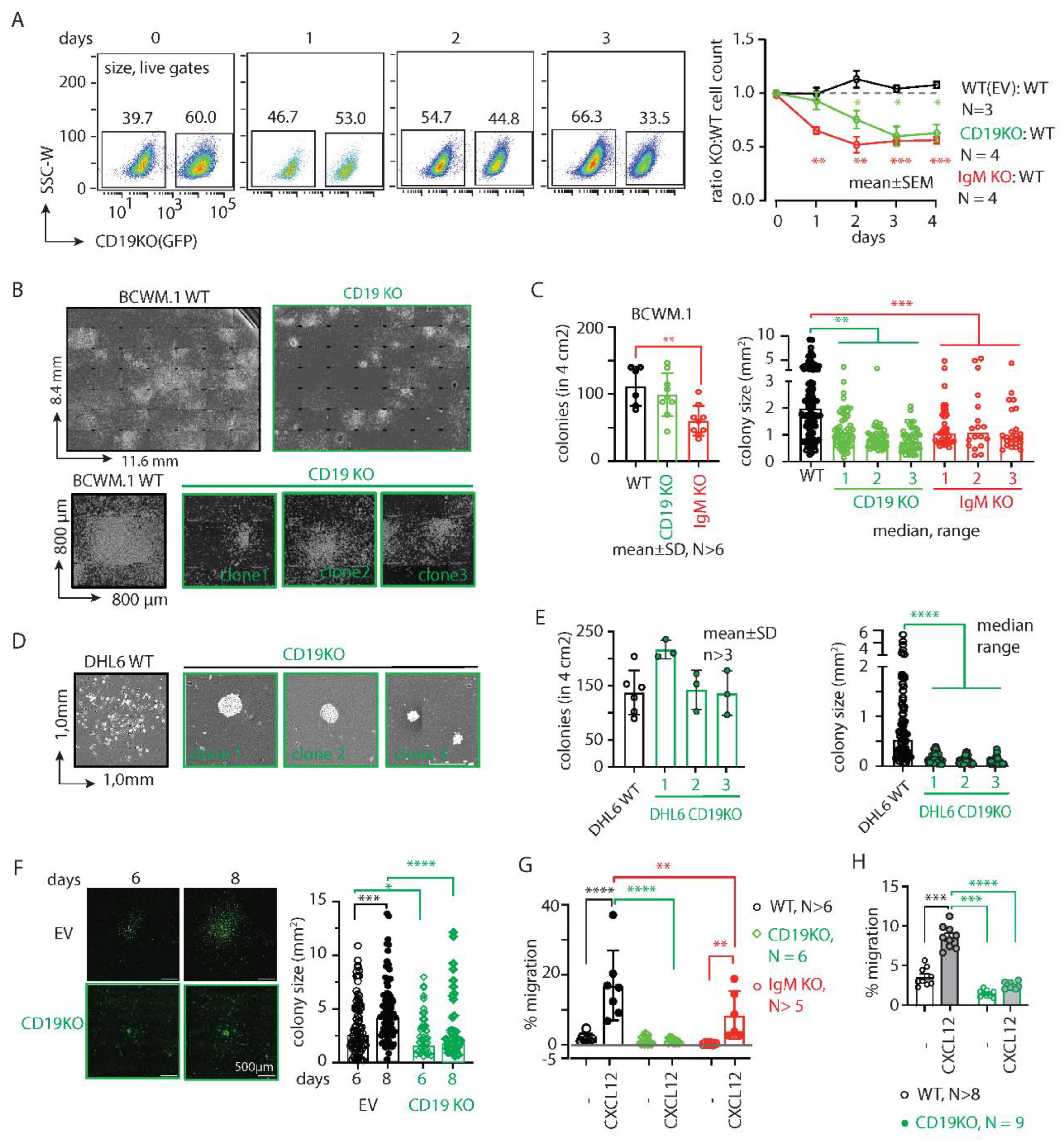 Preprints 141697 g001