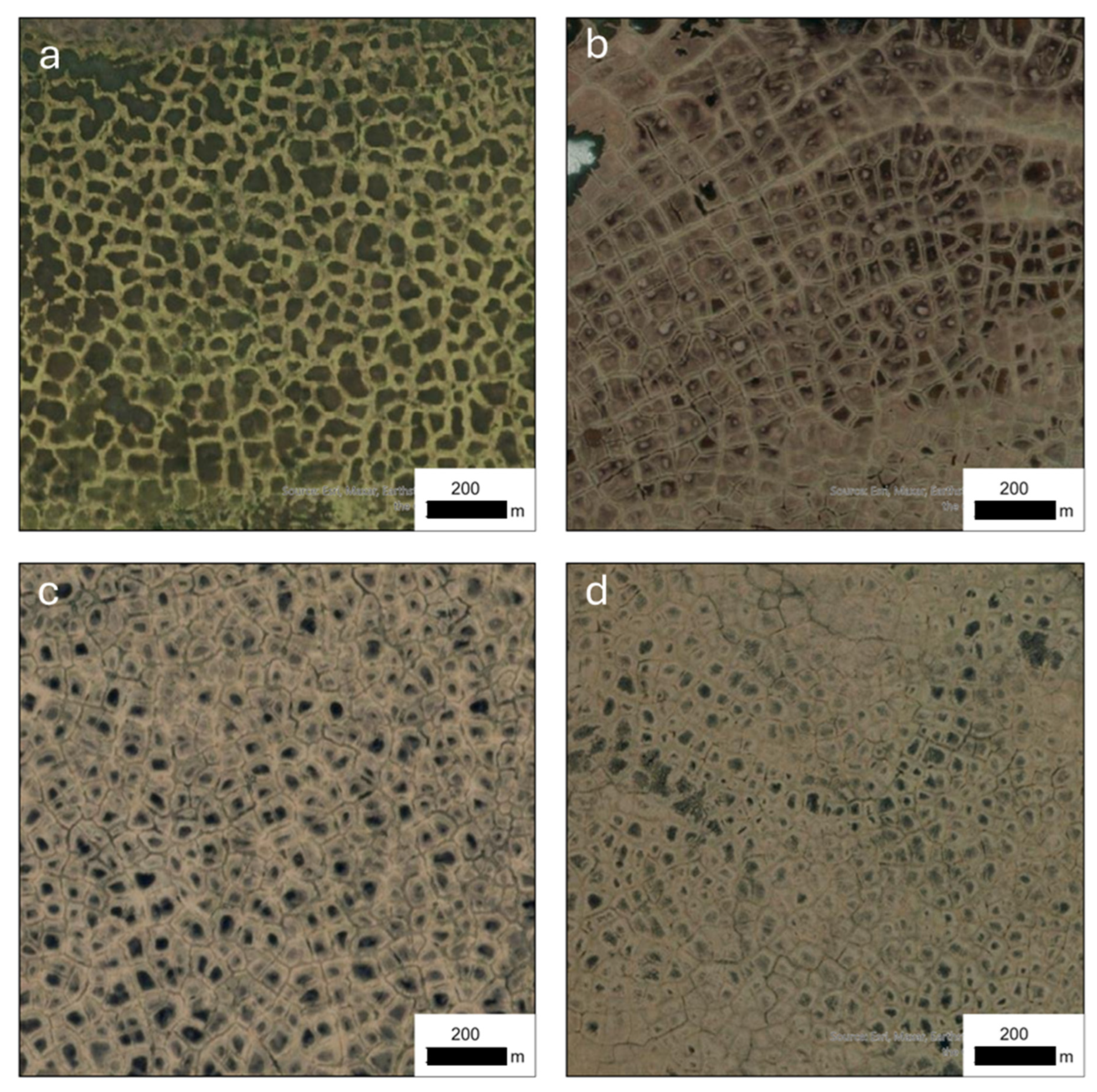 Preprints 157006 g001