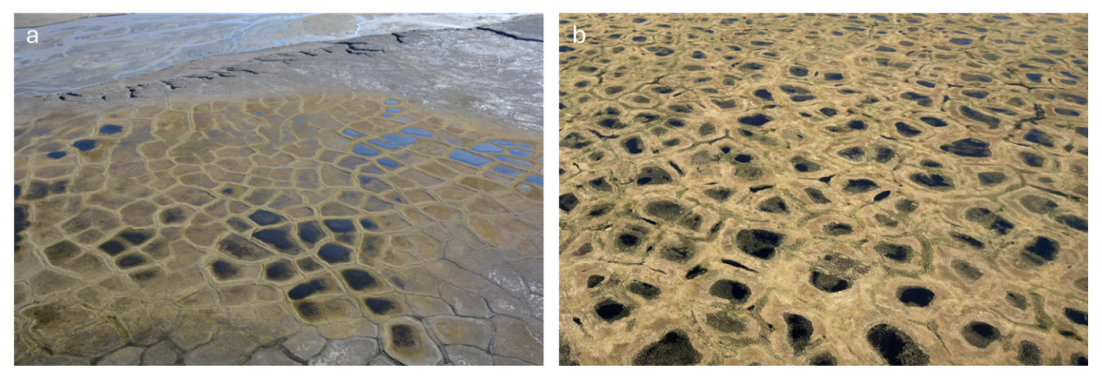 Preprints 157006 g002