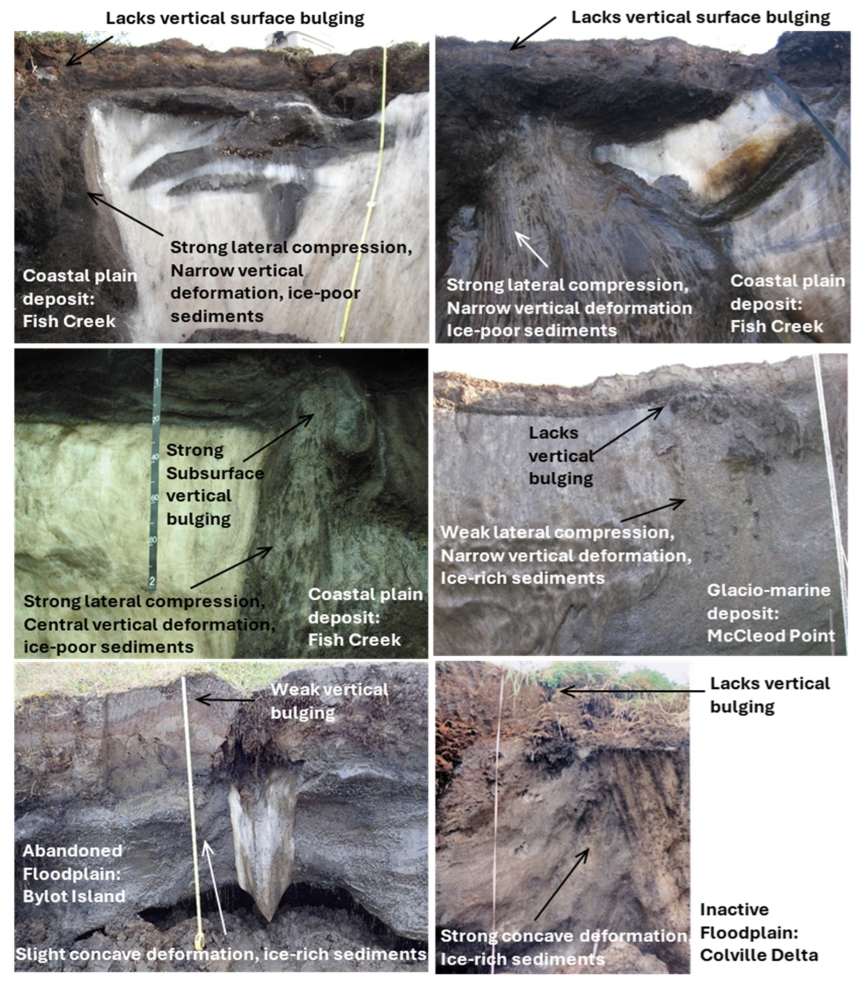 Preprints 157006 g004