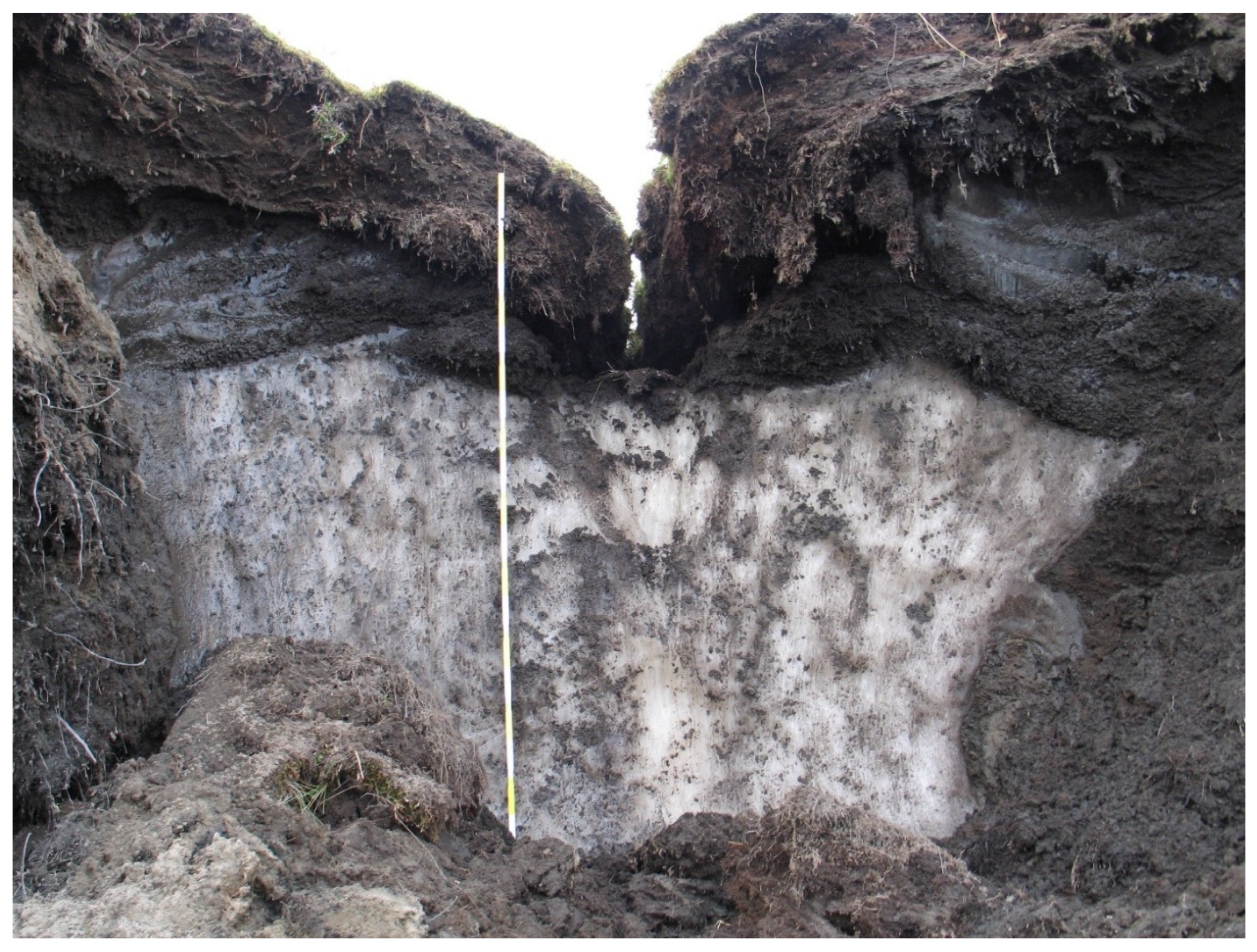 Preprints 157006 g005