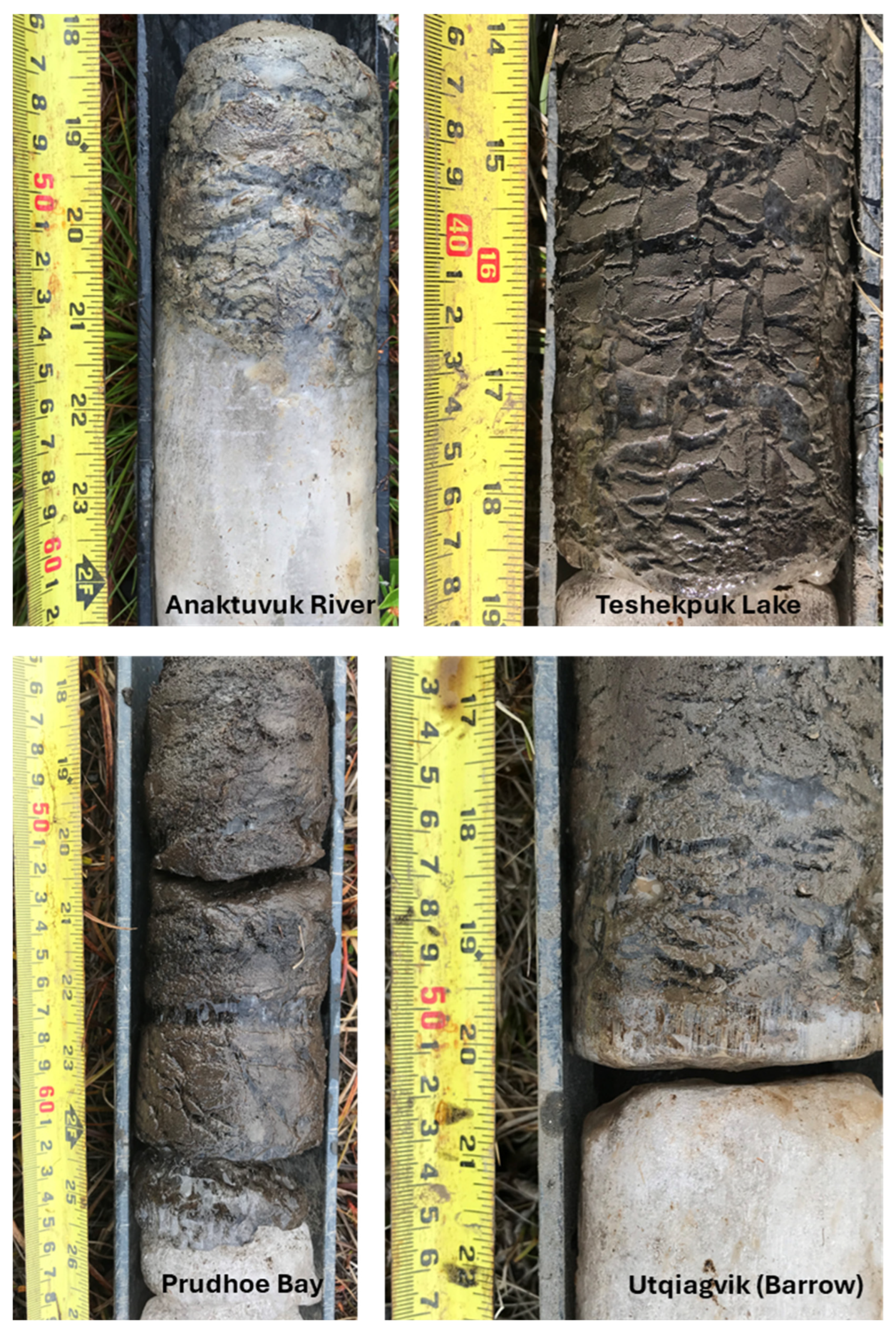 Preprints 157006 g007