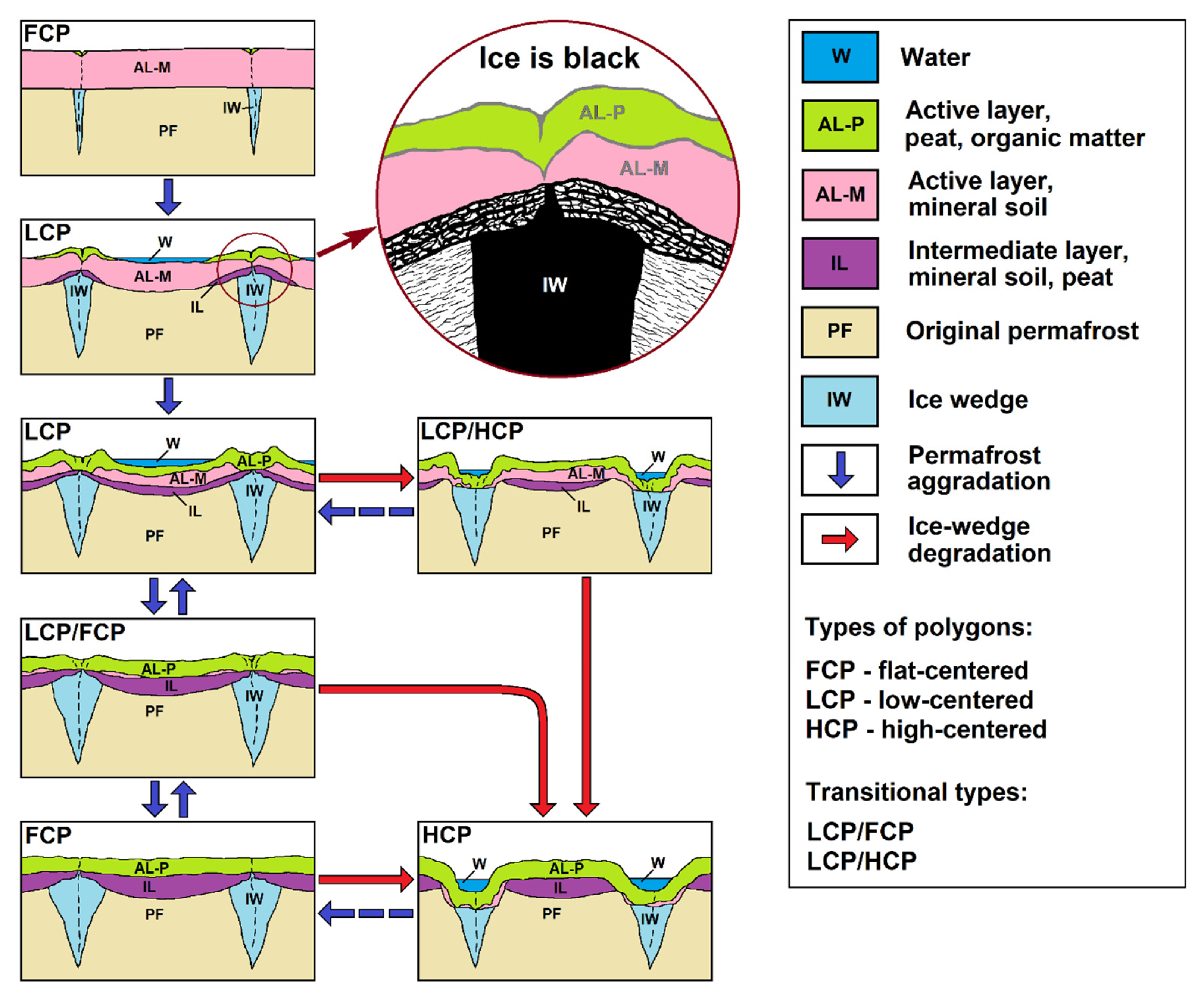 Preprints 157006 g008