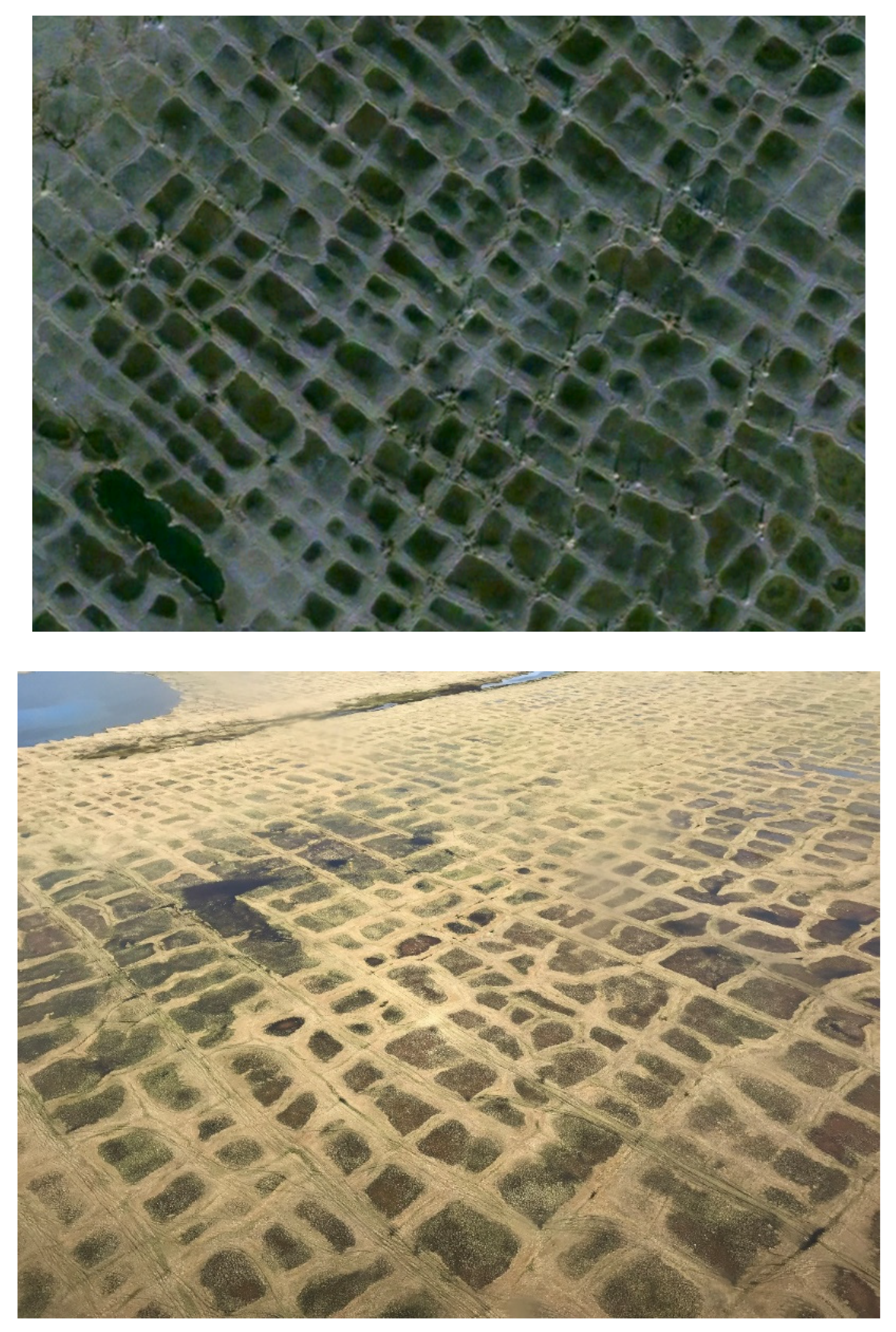 Preprints 157006 g009