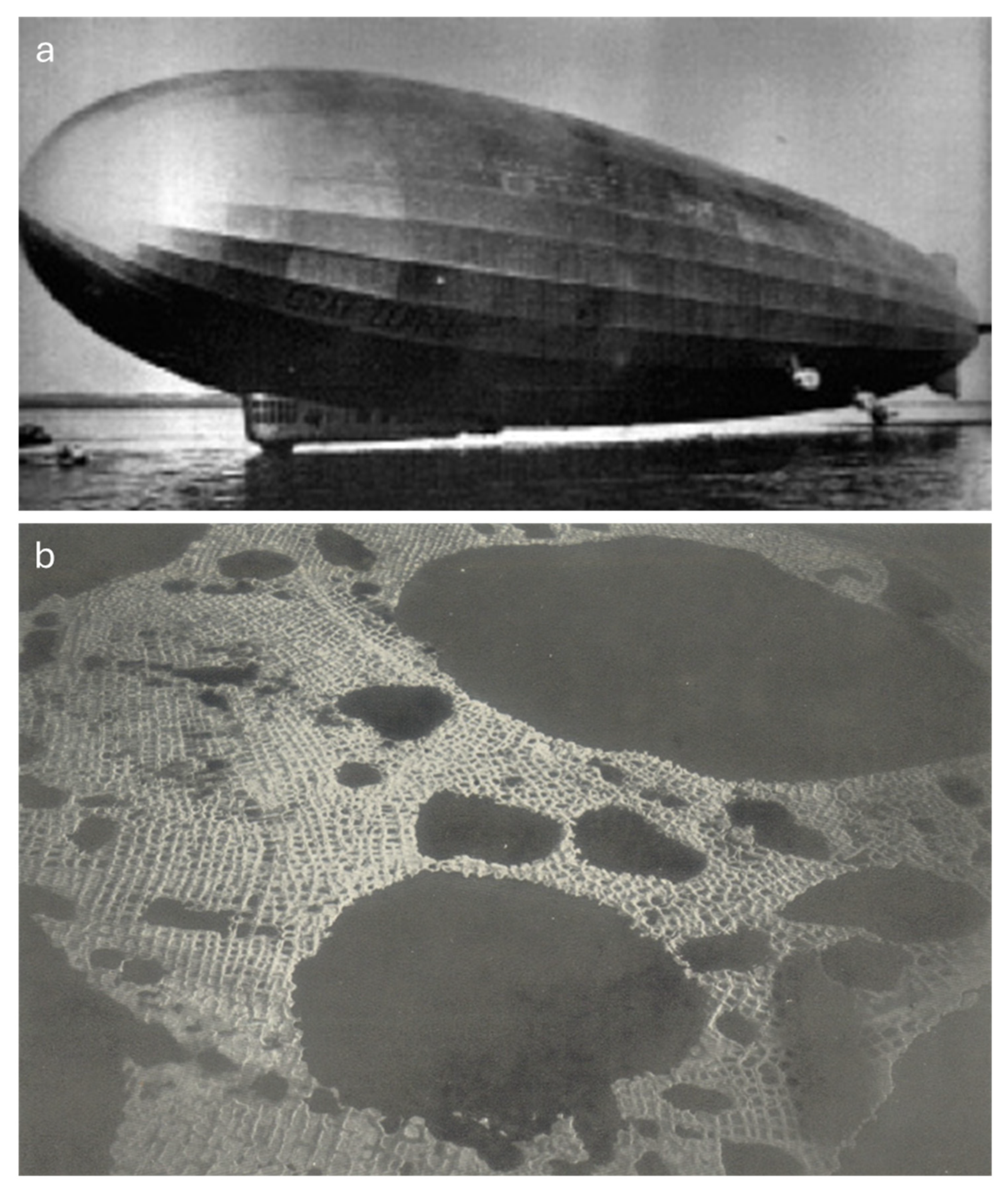 Preprints 157006 g010