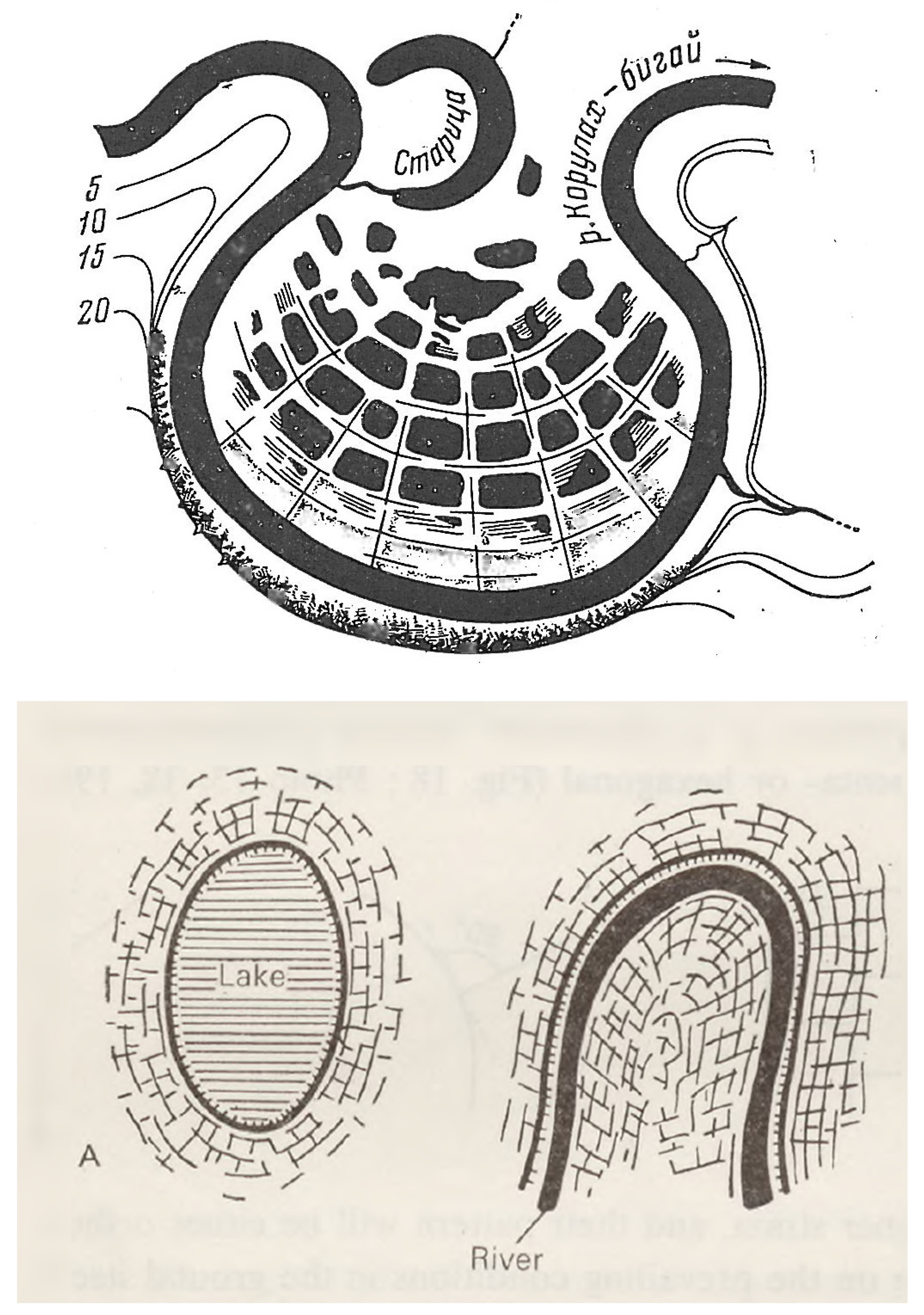 Preprints 157006 g011