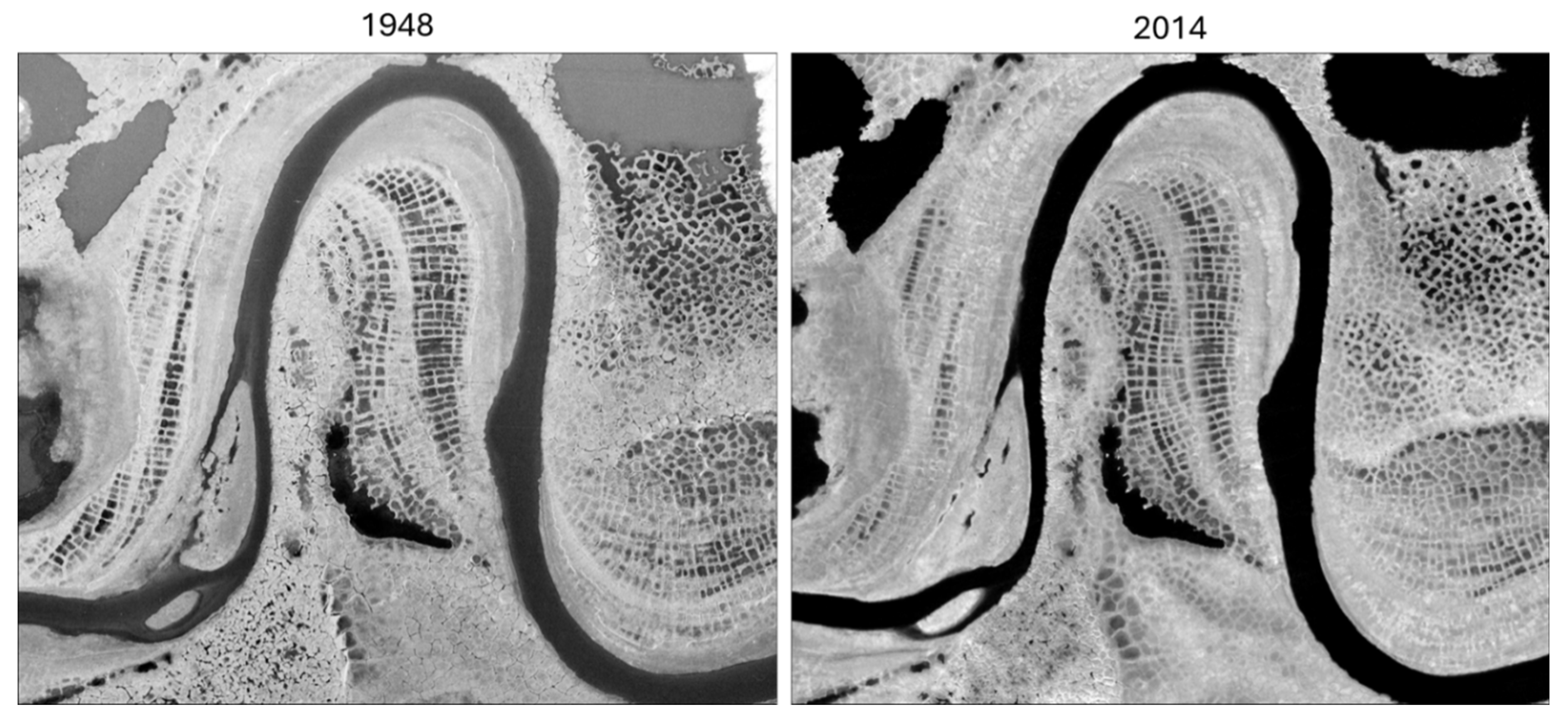 Preprints 157006 g012