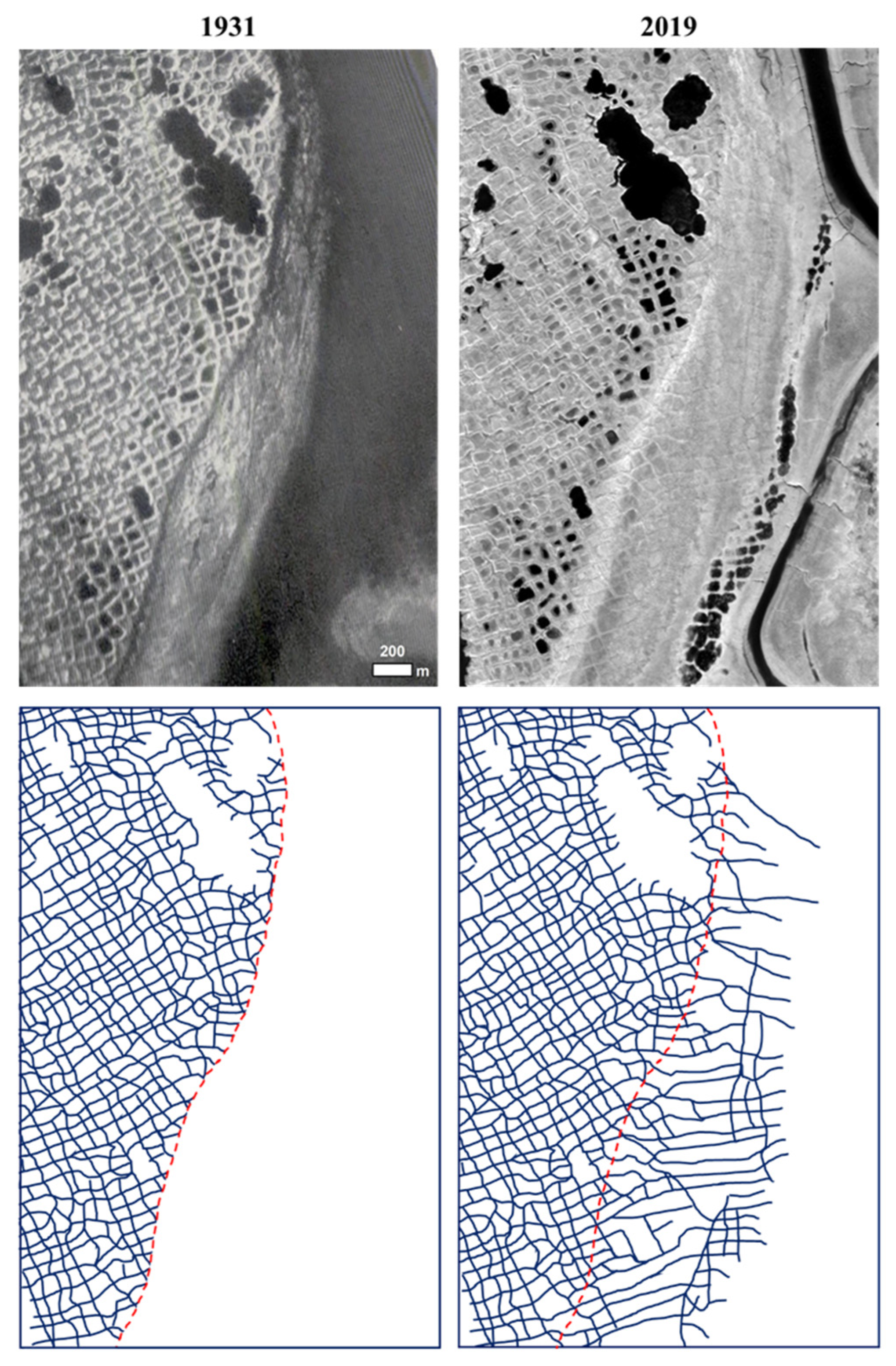 Preprints 157006 g013