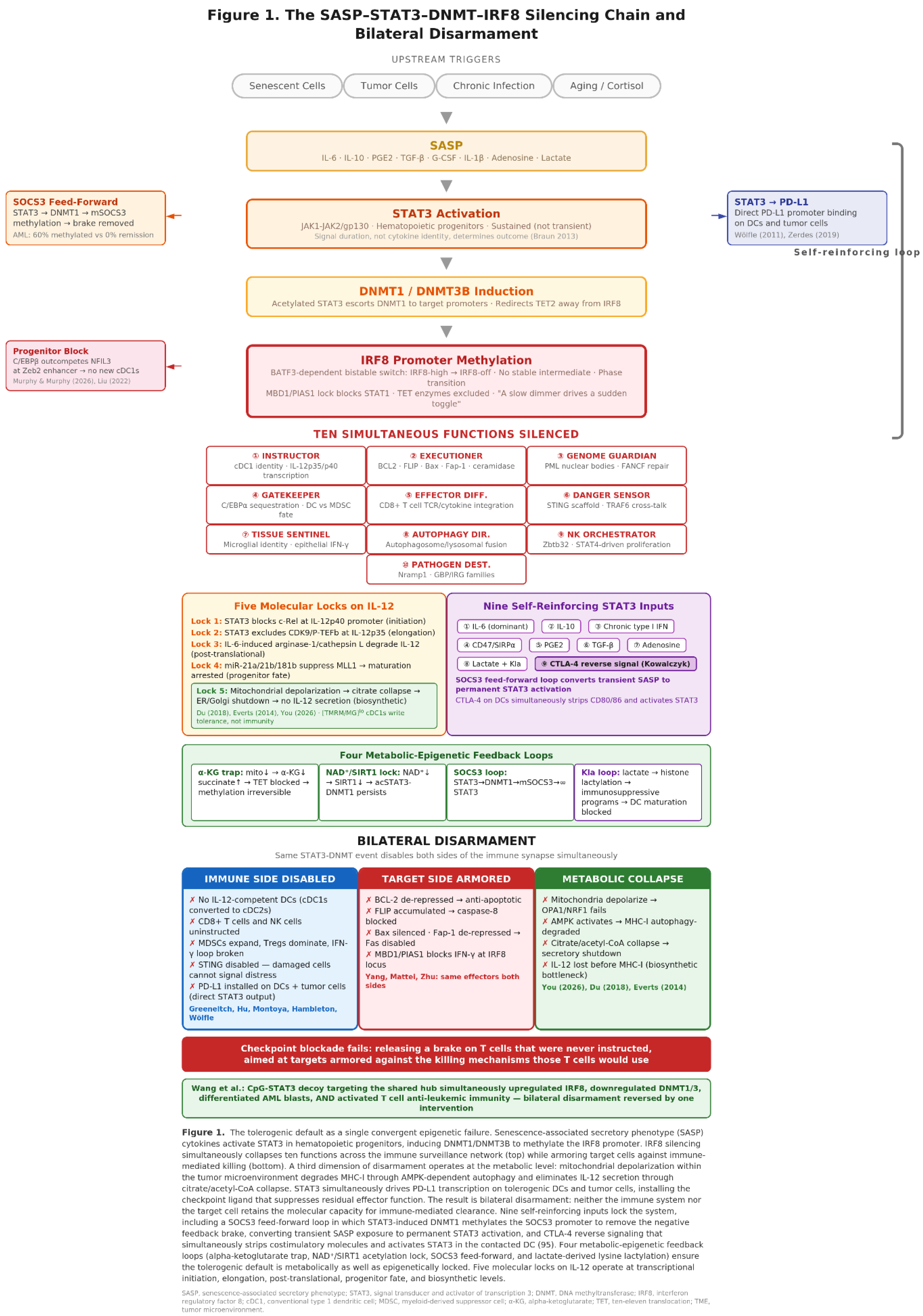 Preprints 207764 g001