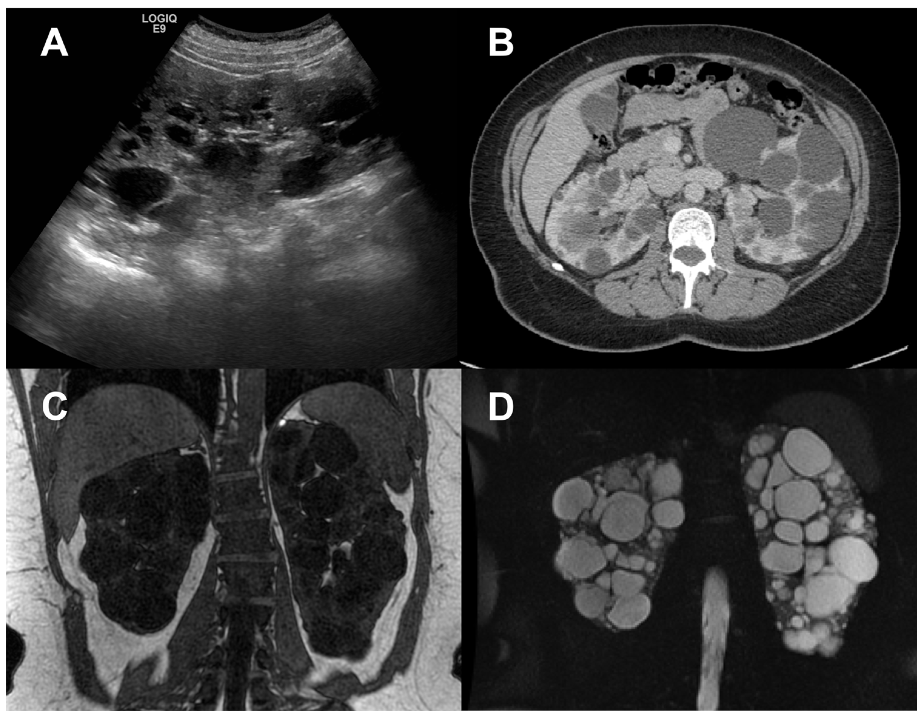 Preprints 75257 g001