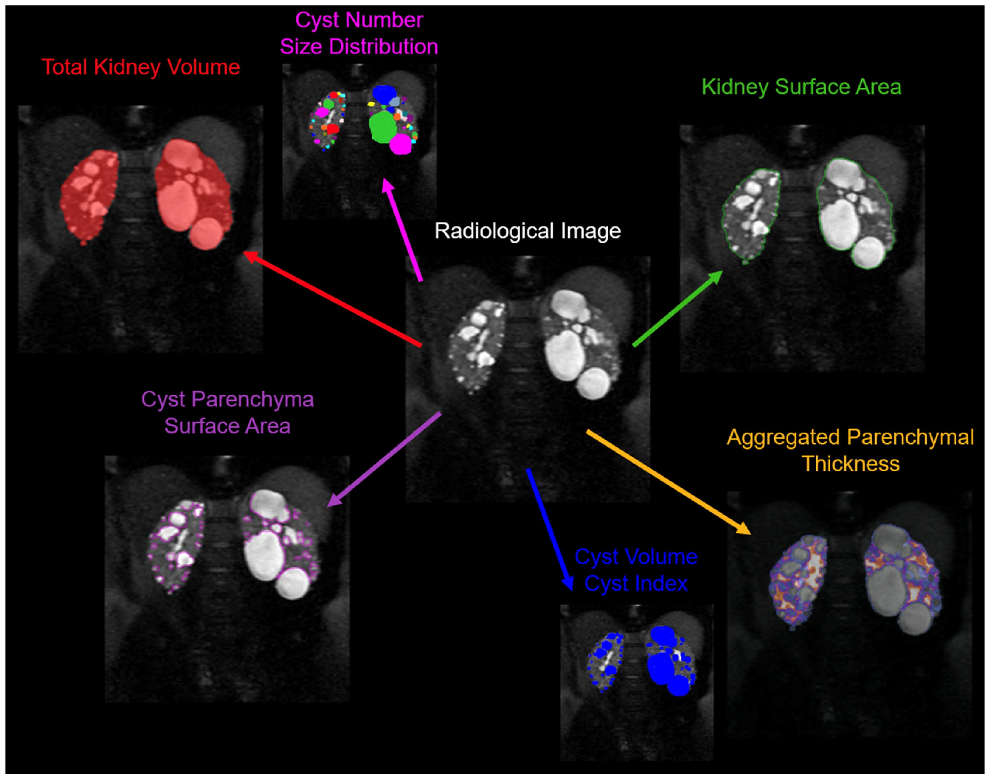 Preprints 75257 g003