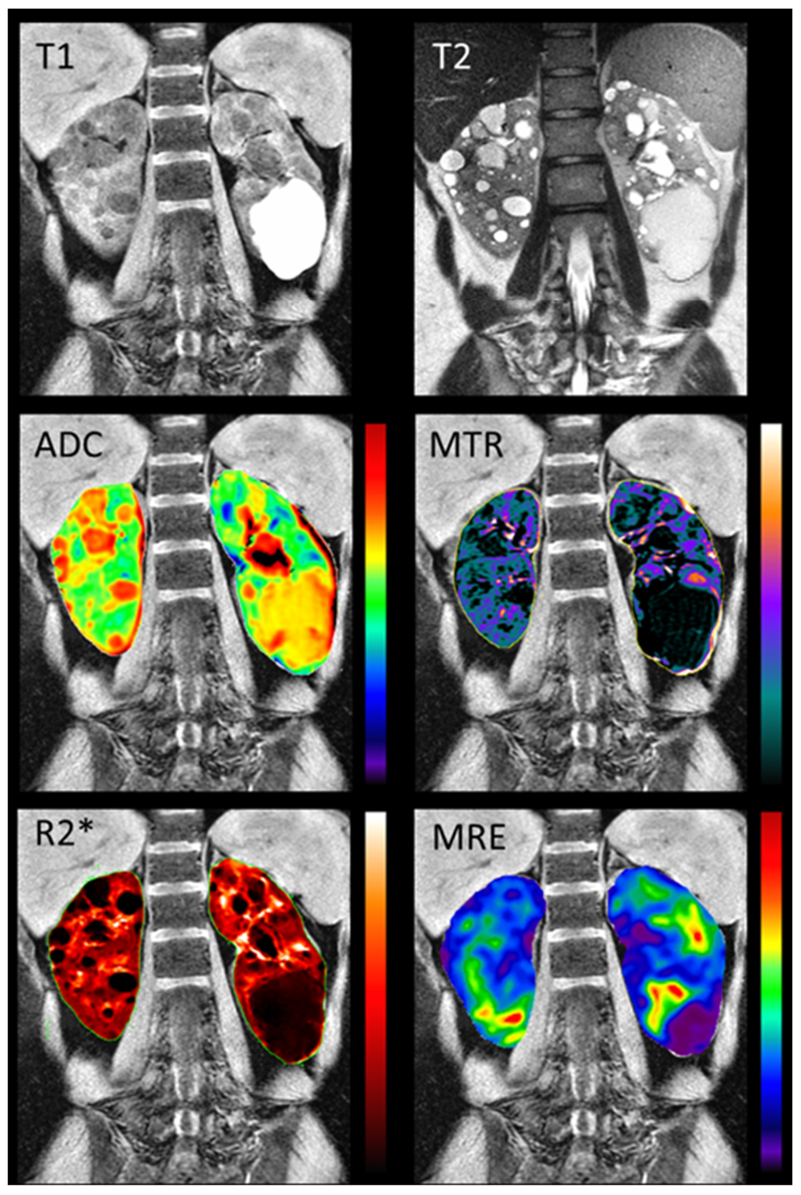 Preprints 75257 g005