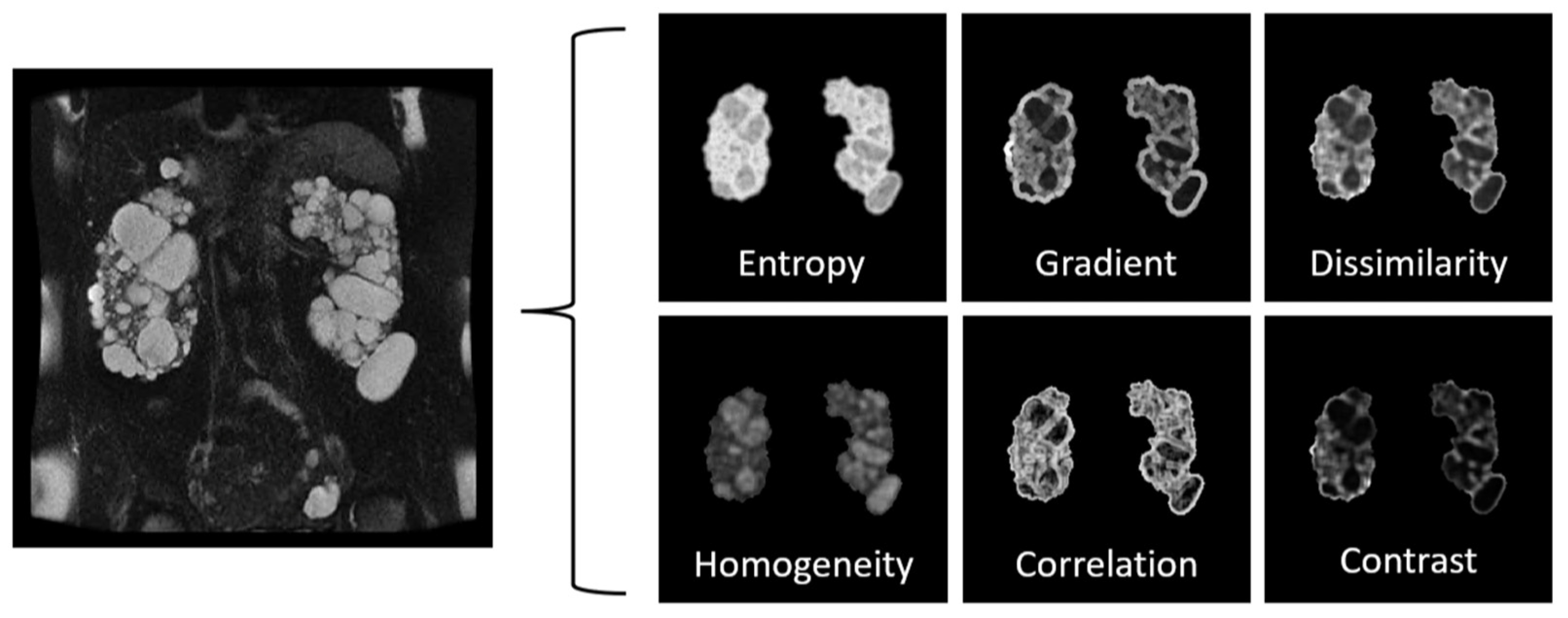 Preprints 75257 g006