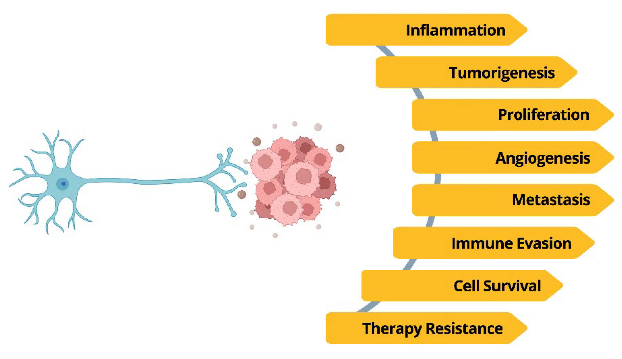 Preprints 189588 g002