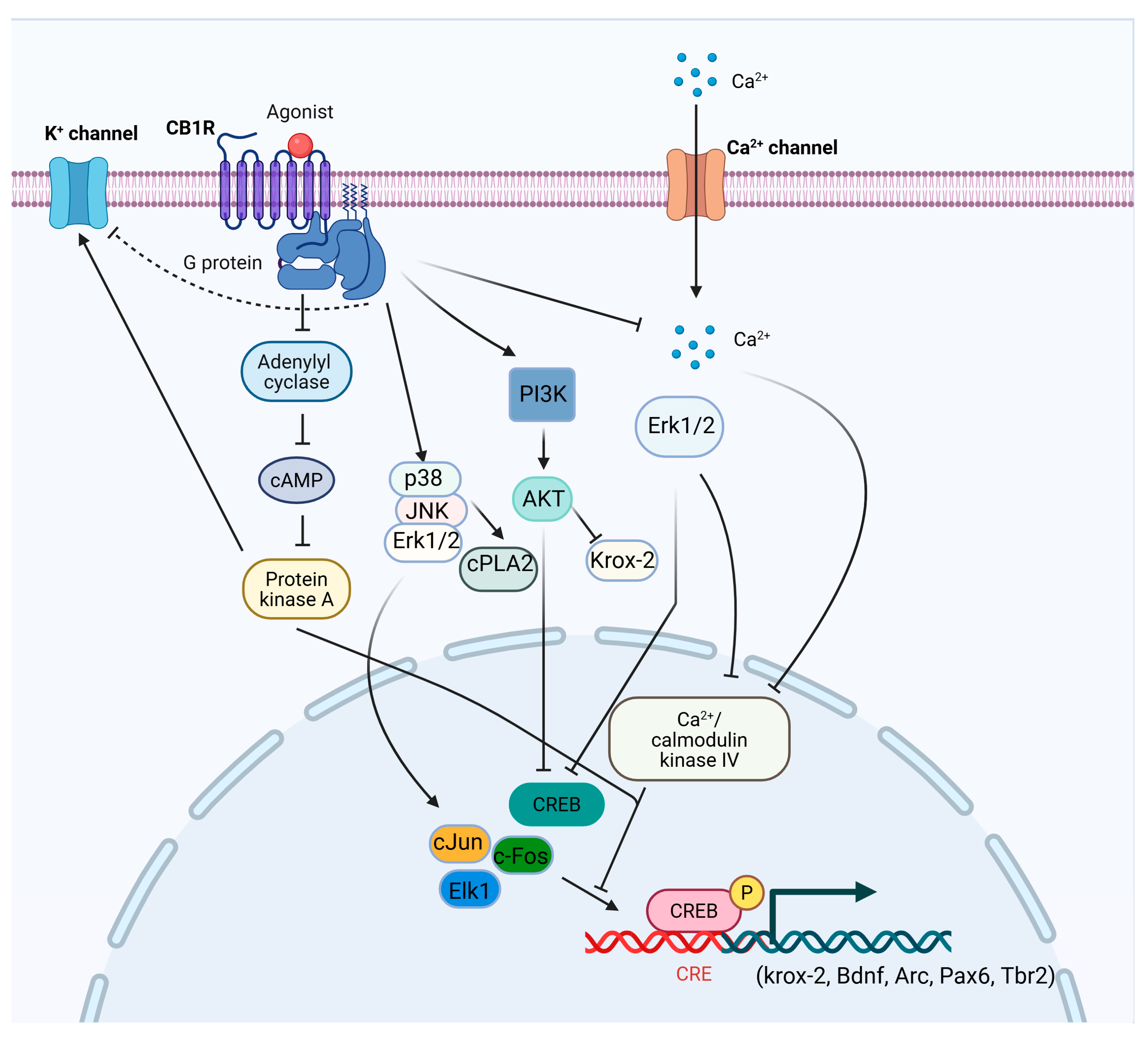Preprints 182100 g001