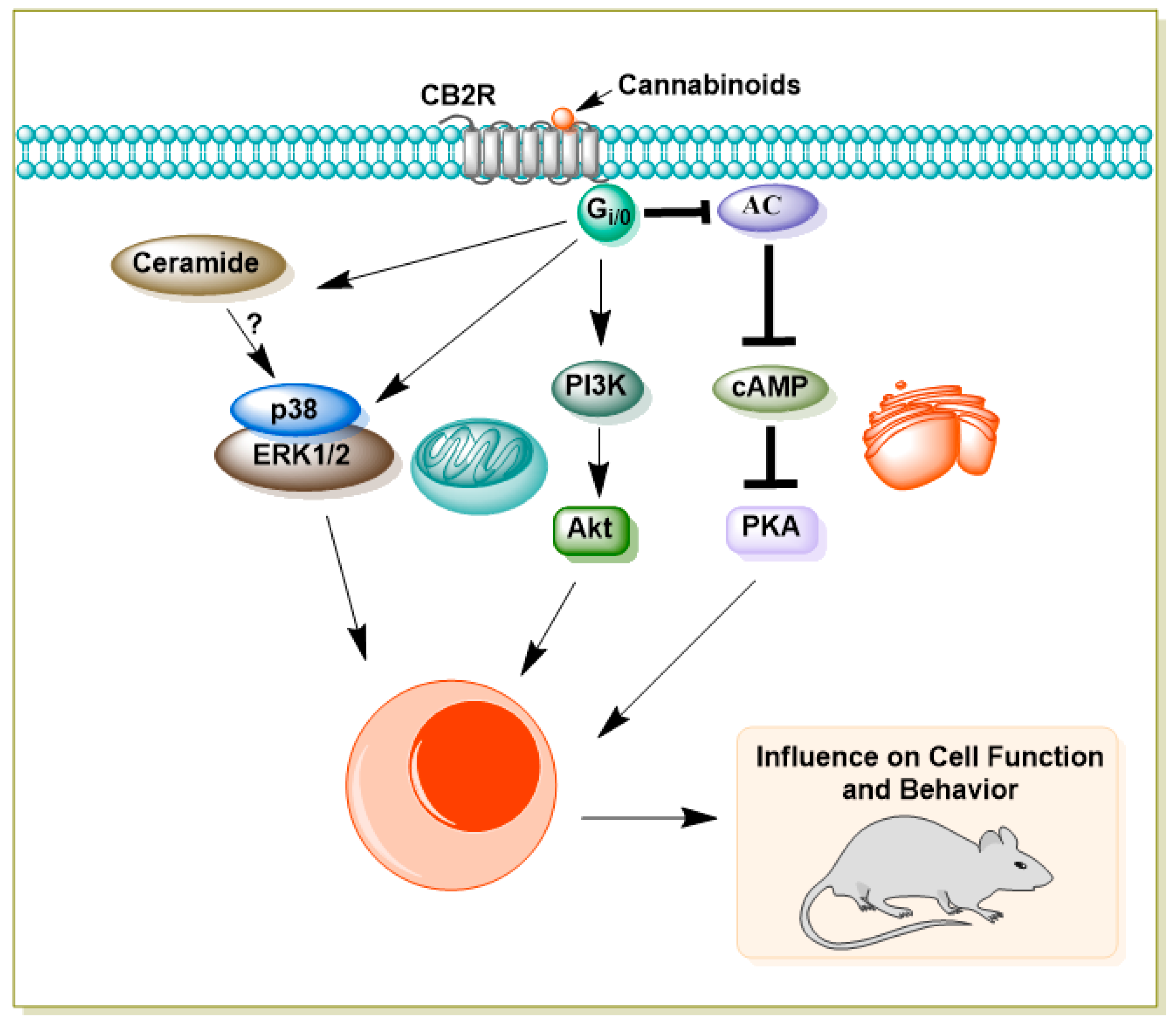 Preprints 182100 g002