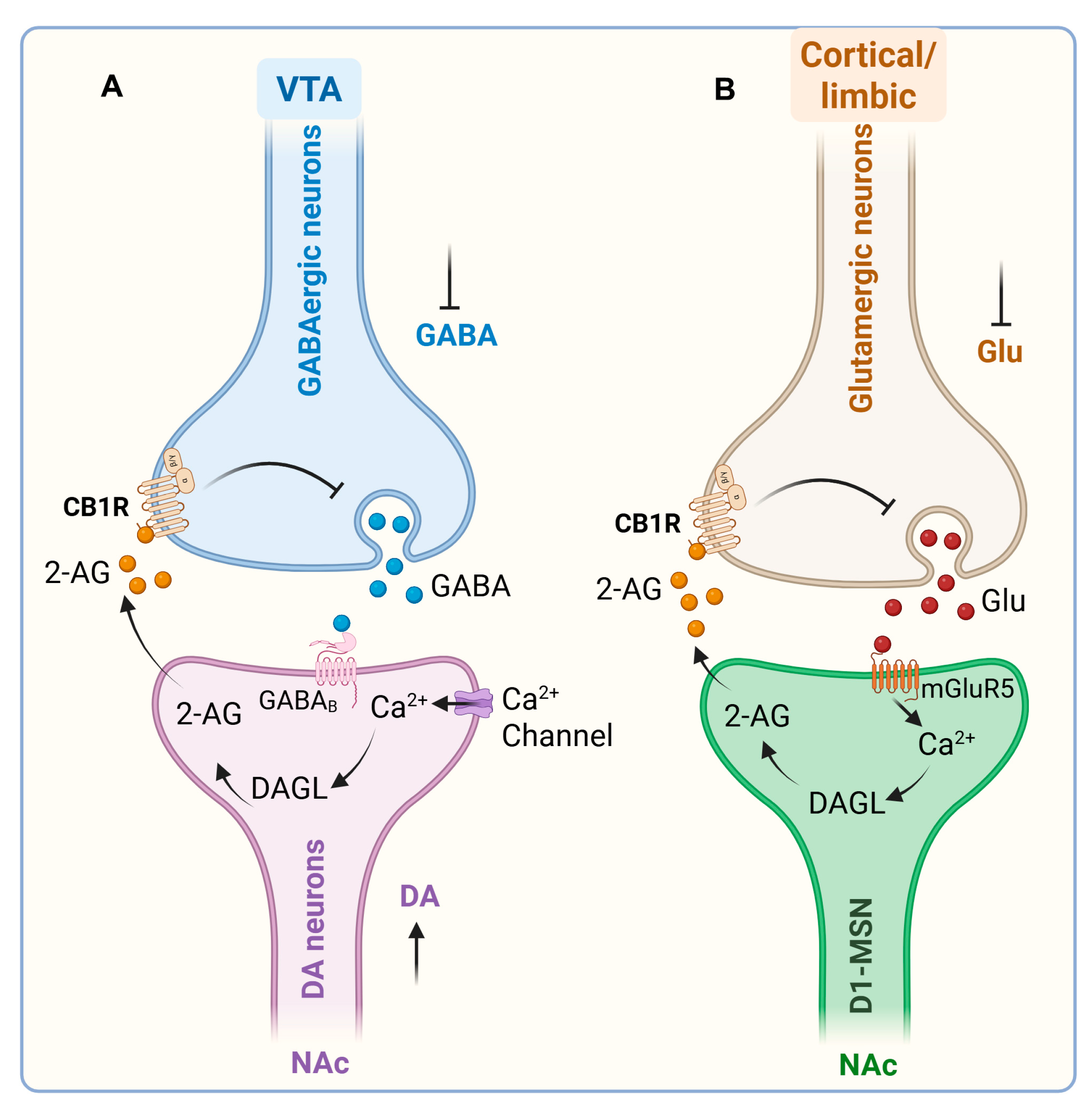 Preprints 182100 g004
