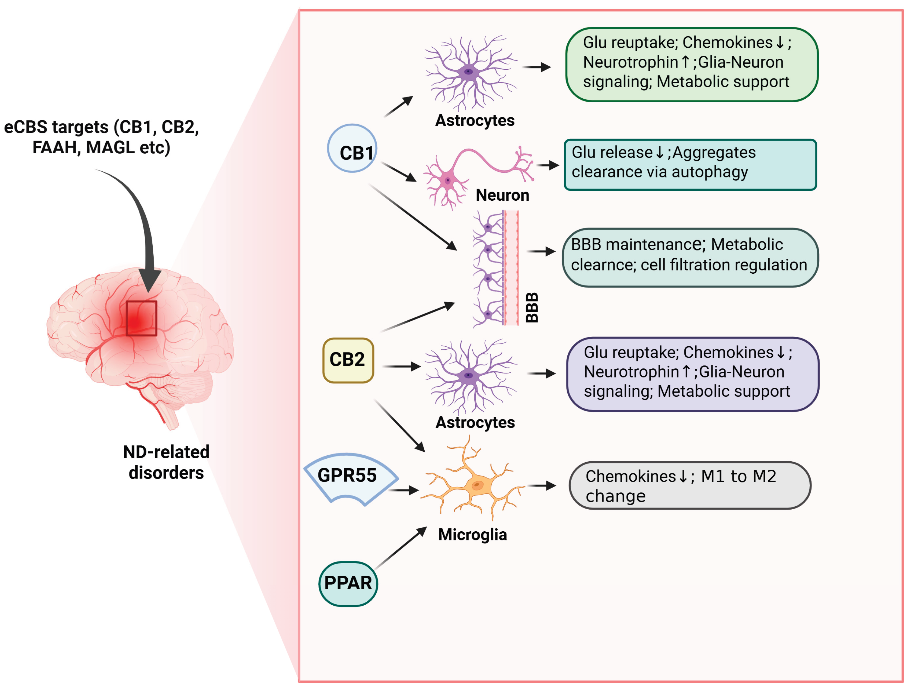 Preprints 182100 g005