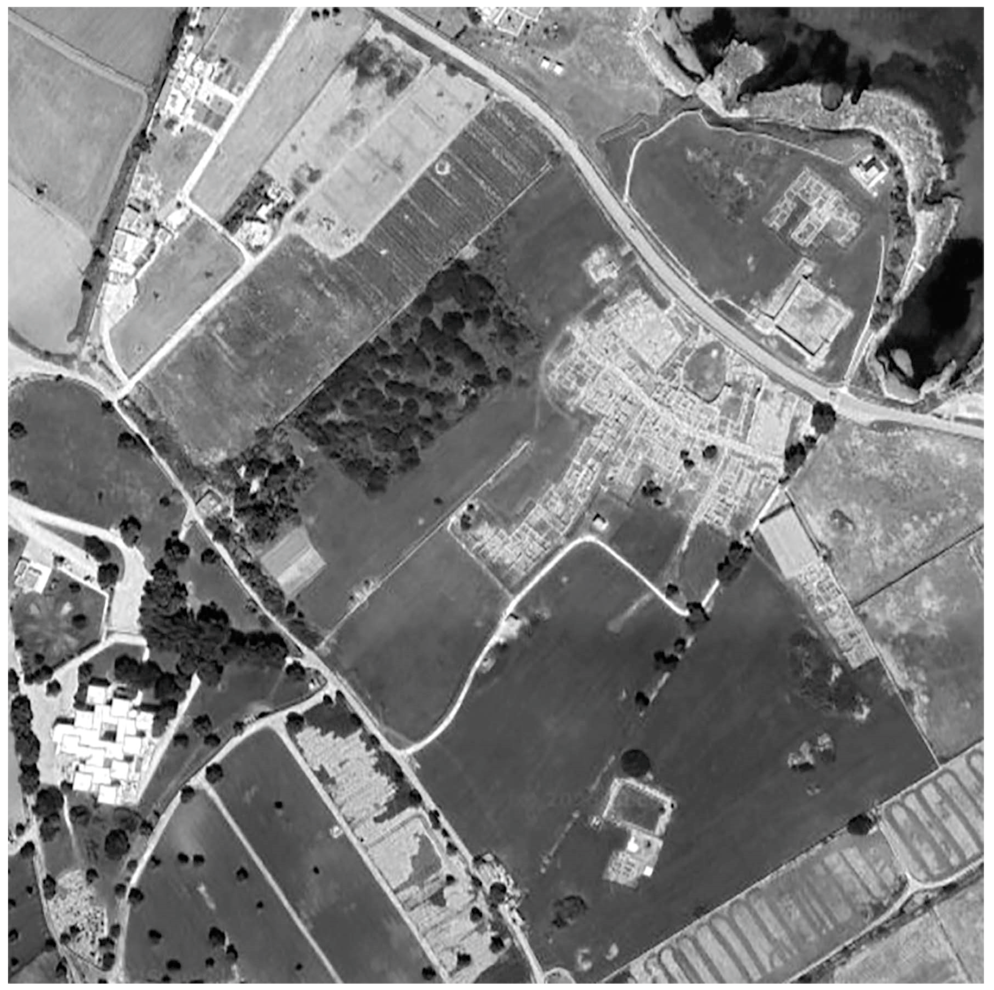 Preprints 154560 g007