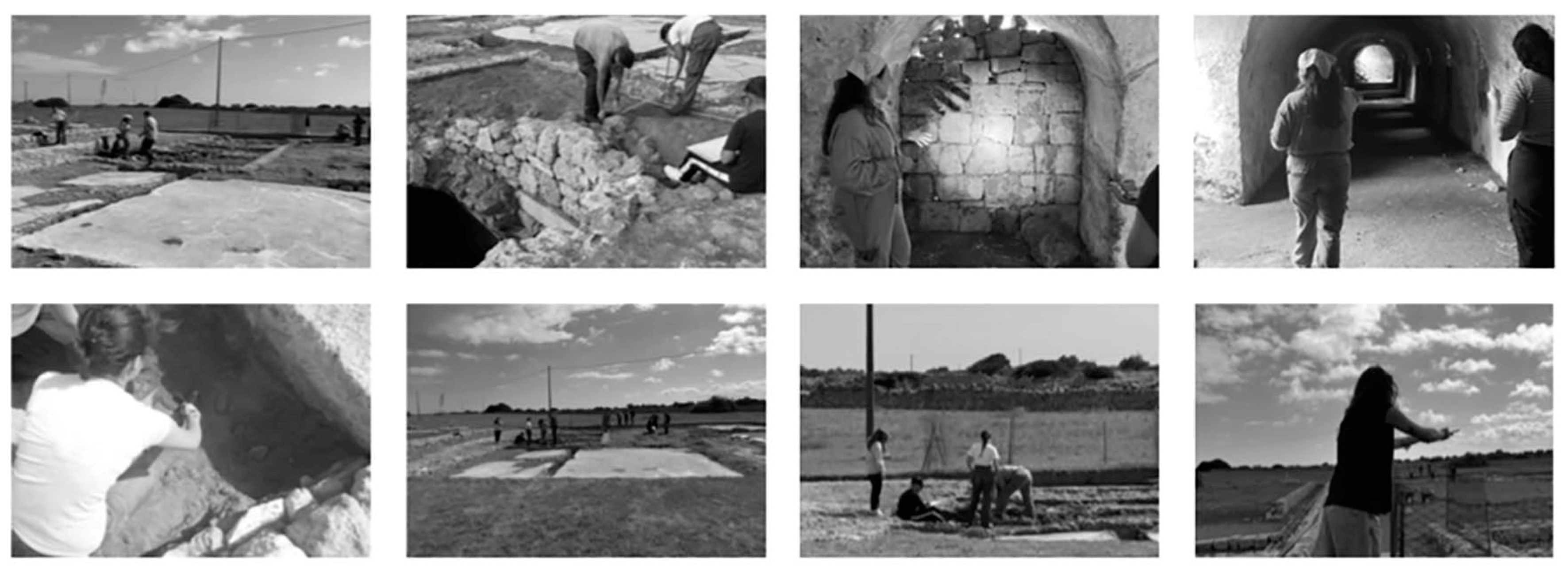 Preprints 154560 g008