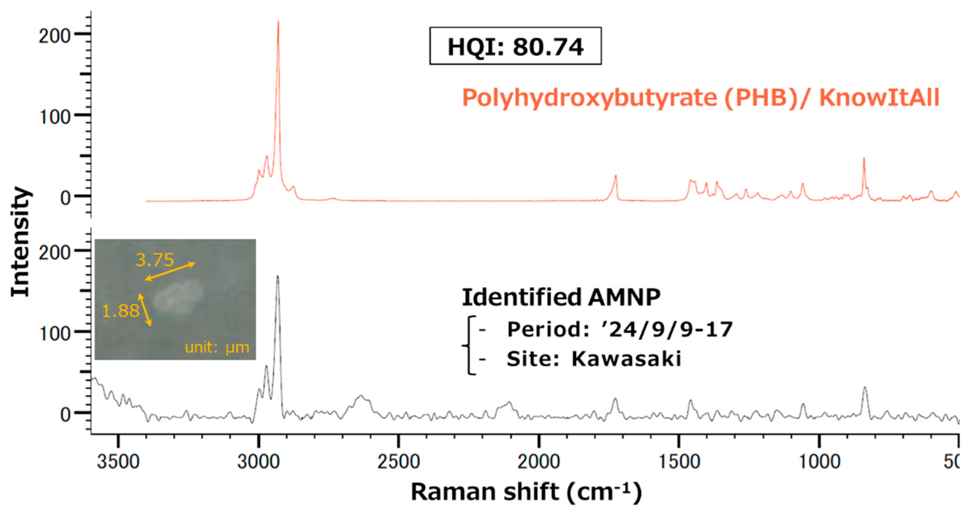 Preprints 175773 g0a4
