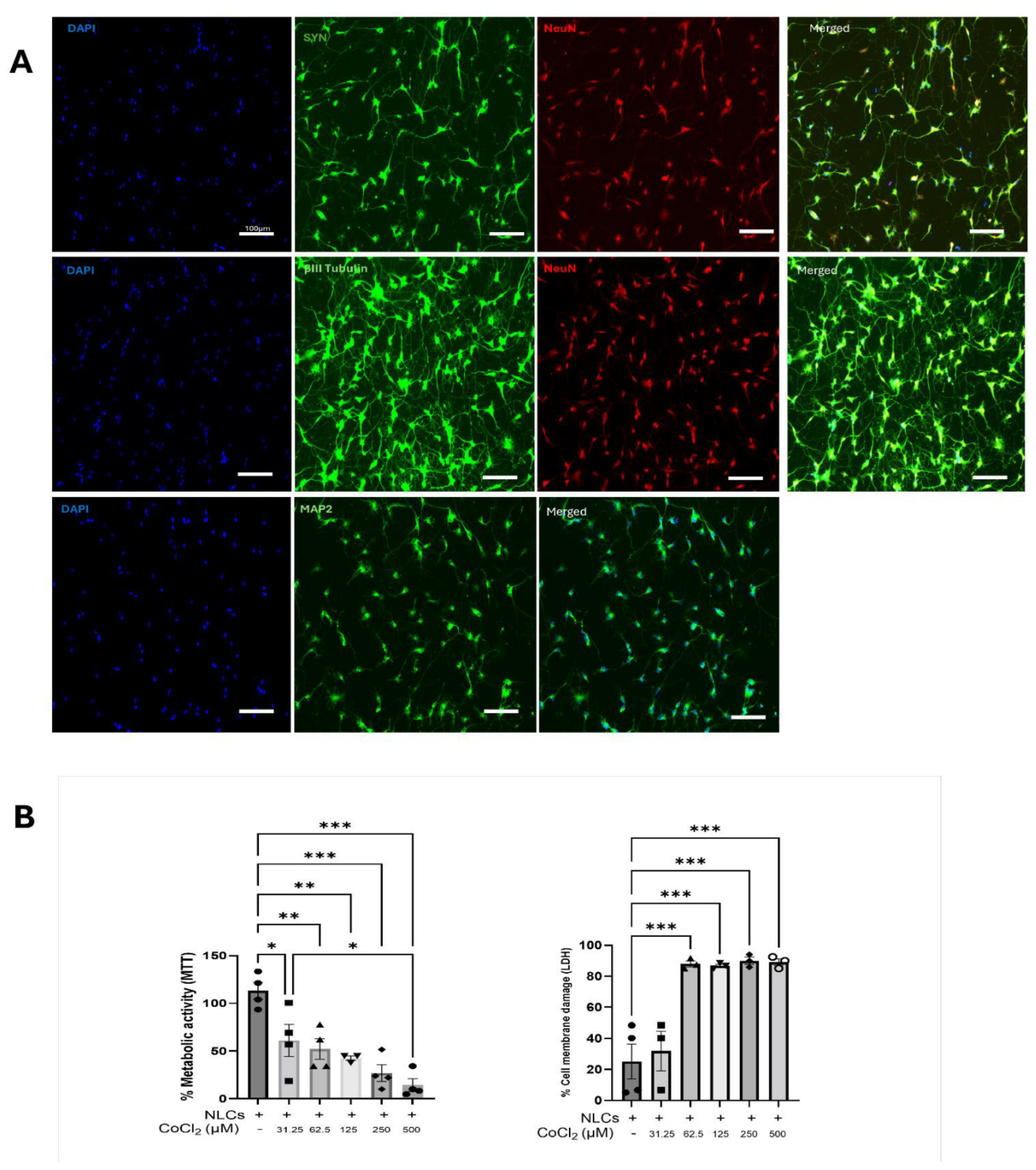 Preprints 208699 g002
