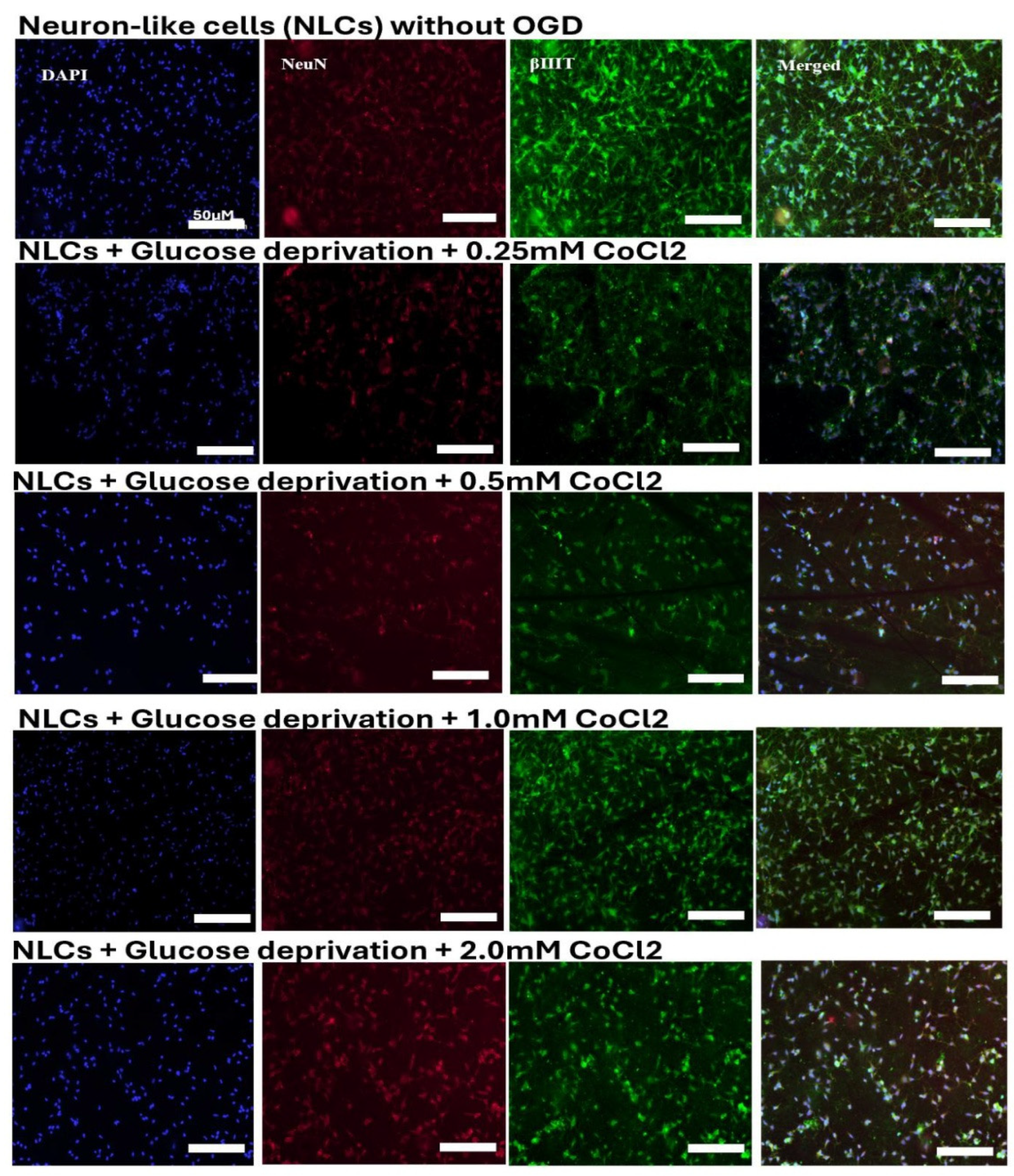 Preprints 208699 g004