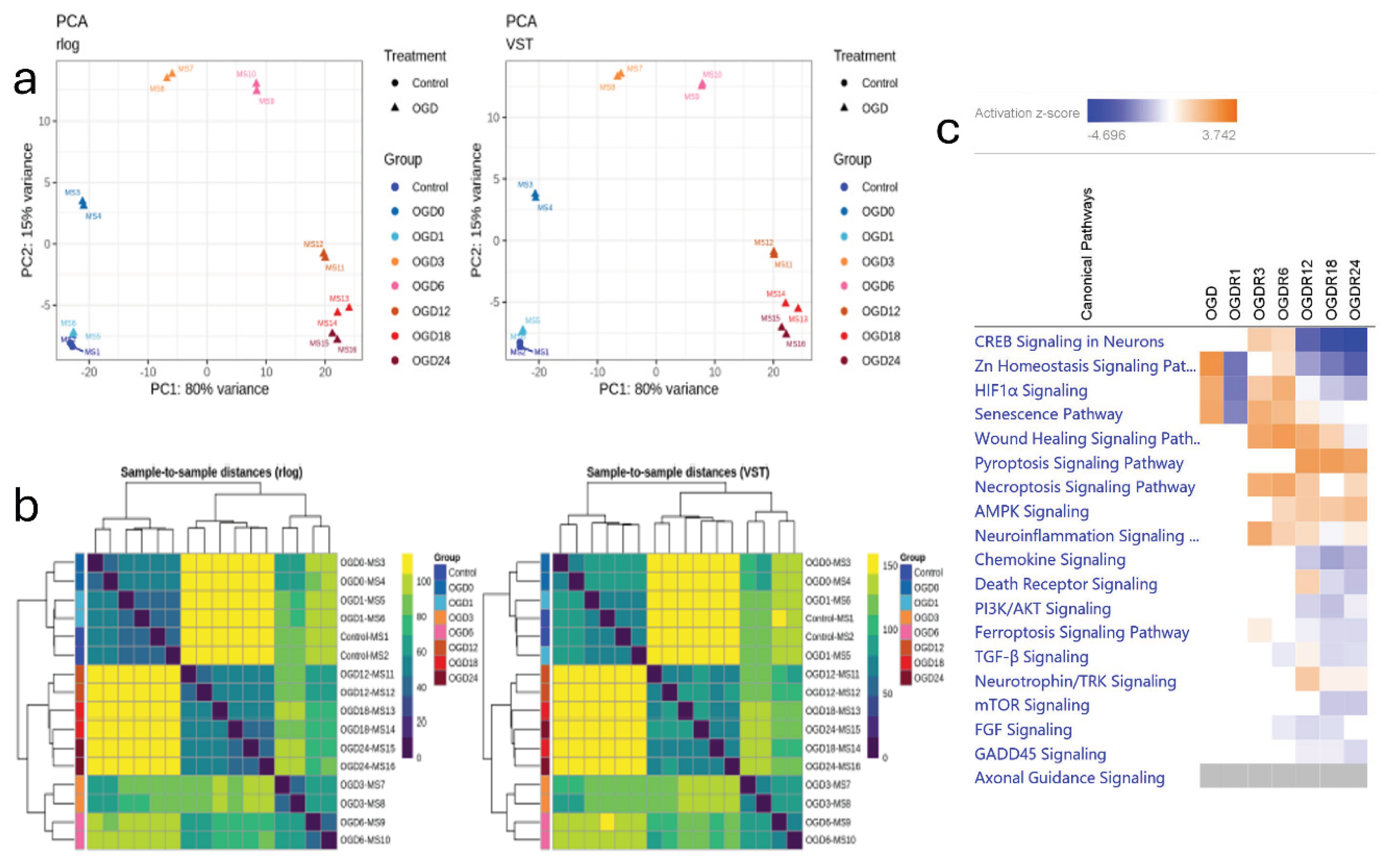 Preprints 208699 g006