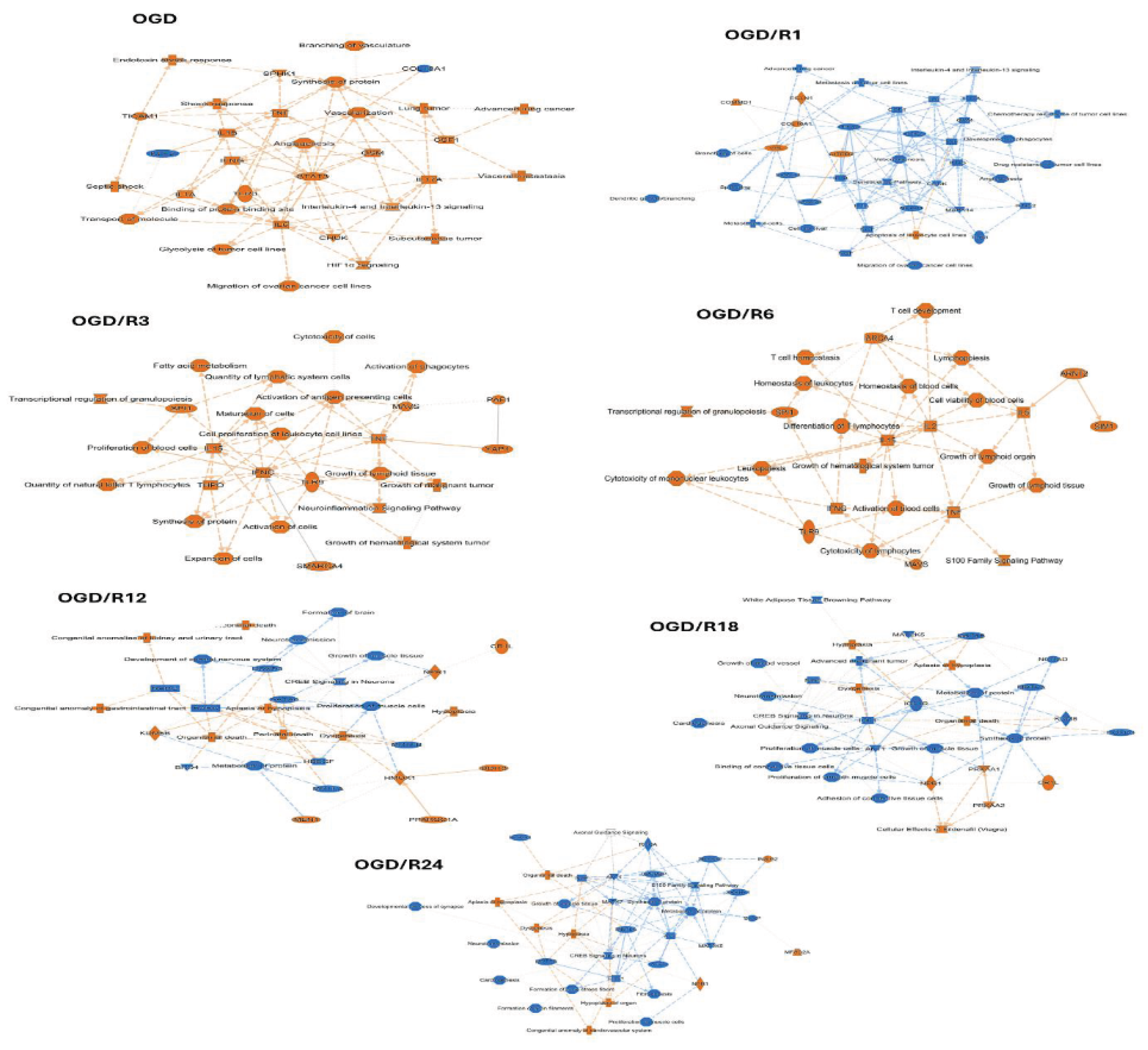 Preprints 208699 g007