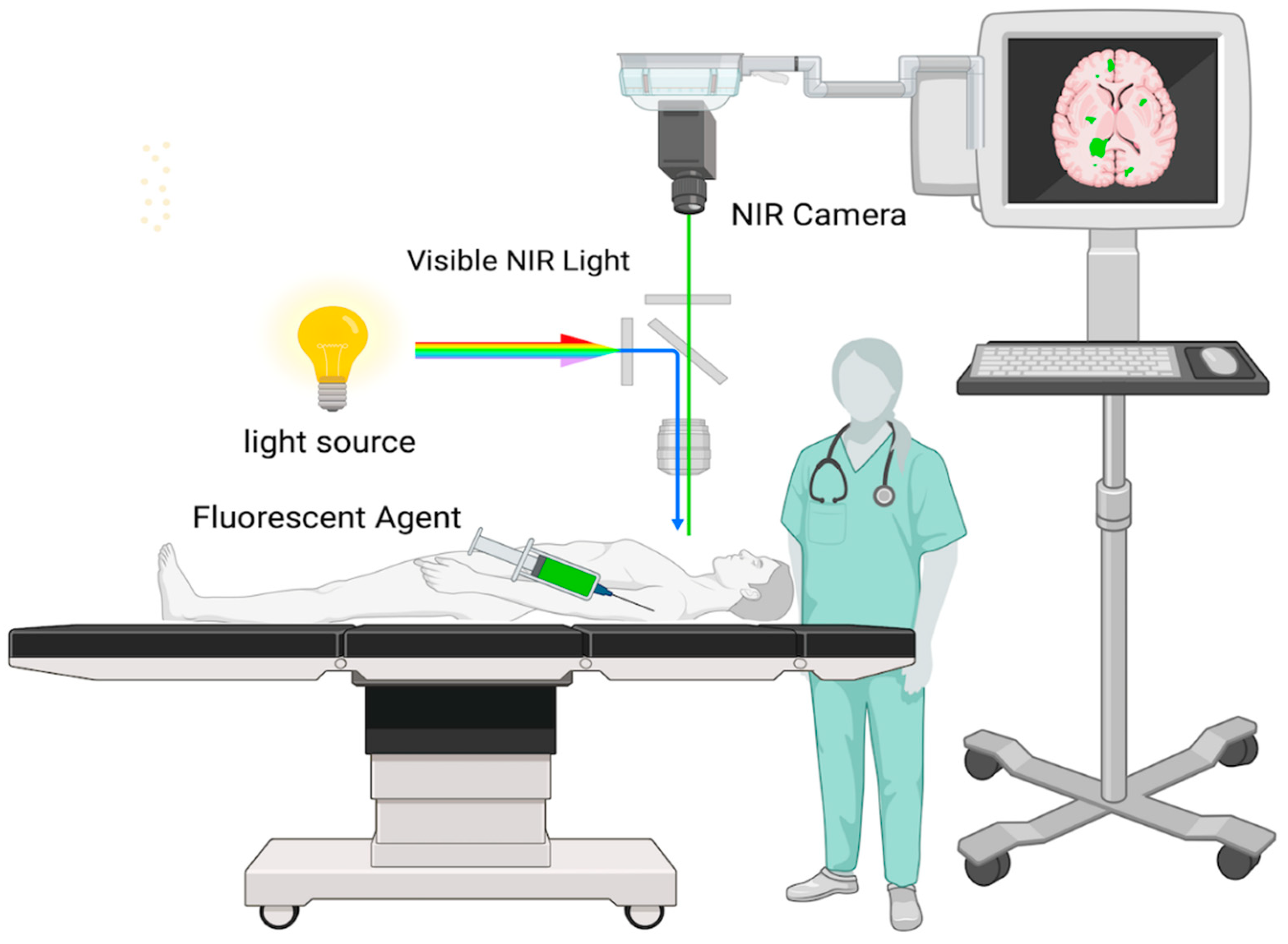 Preprints 138195 g001