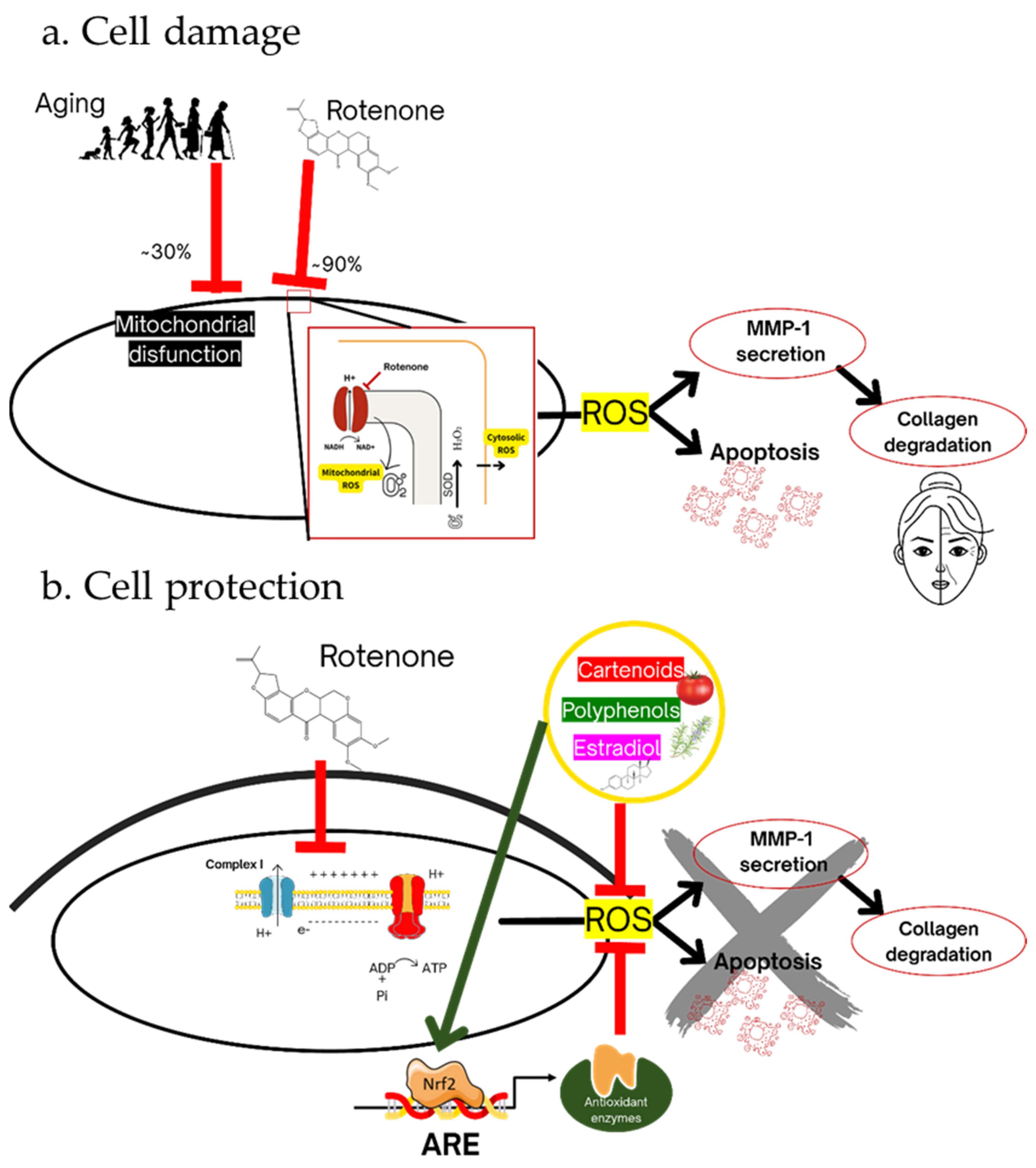 Preprints 112460 sch001