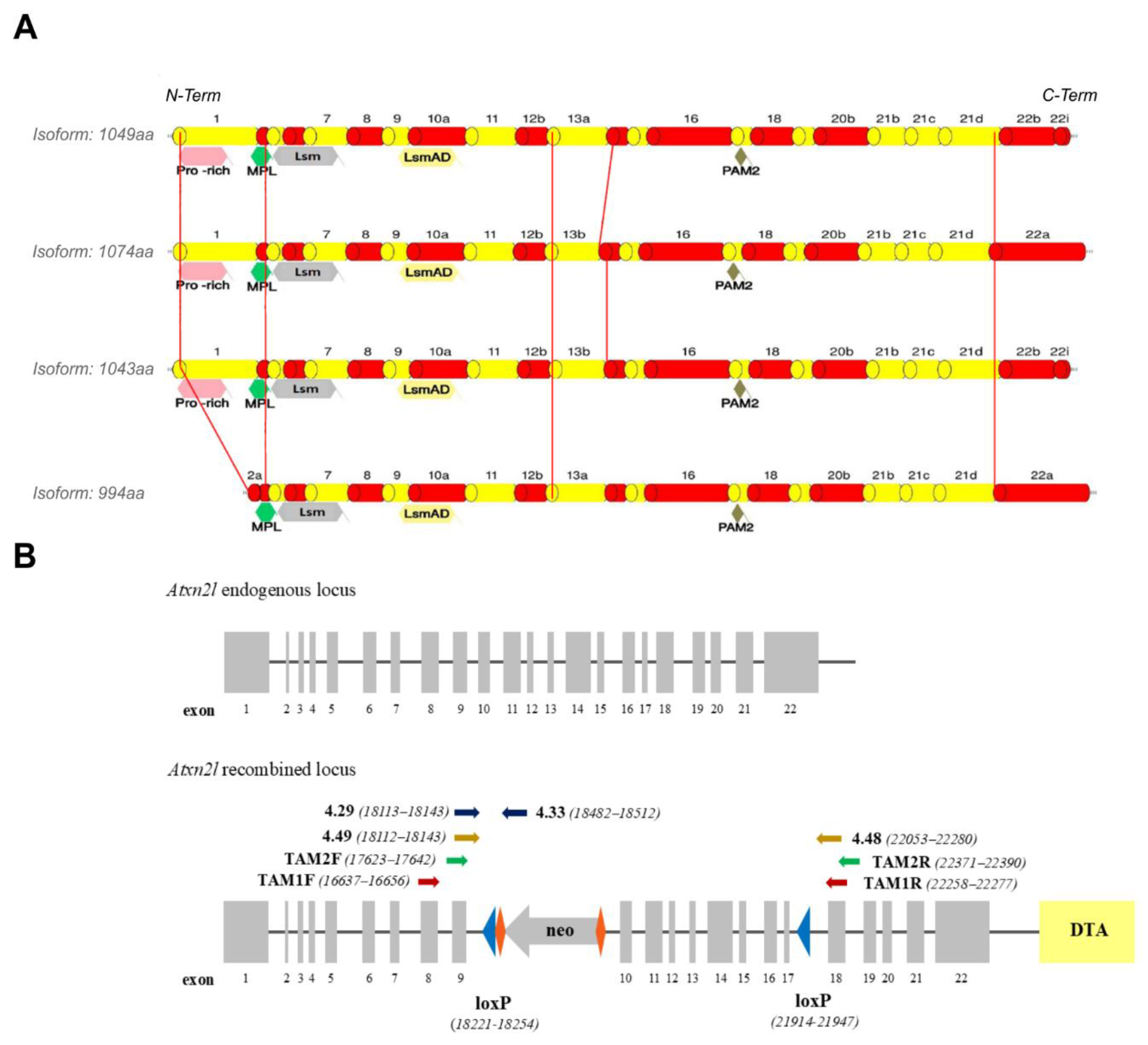 Preprints 175972 g001