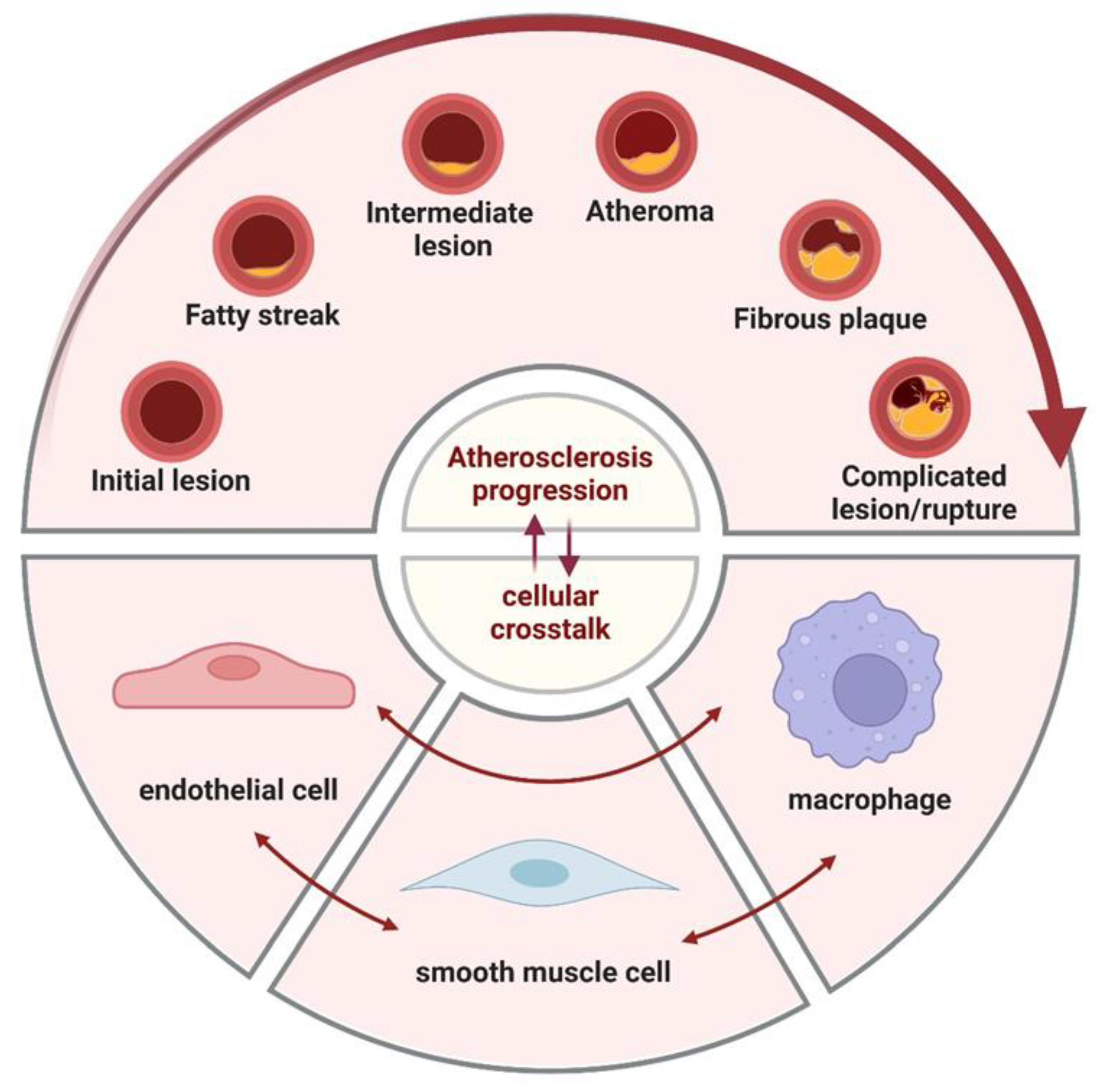 Preprints 145234 g001