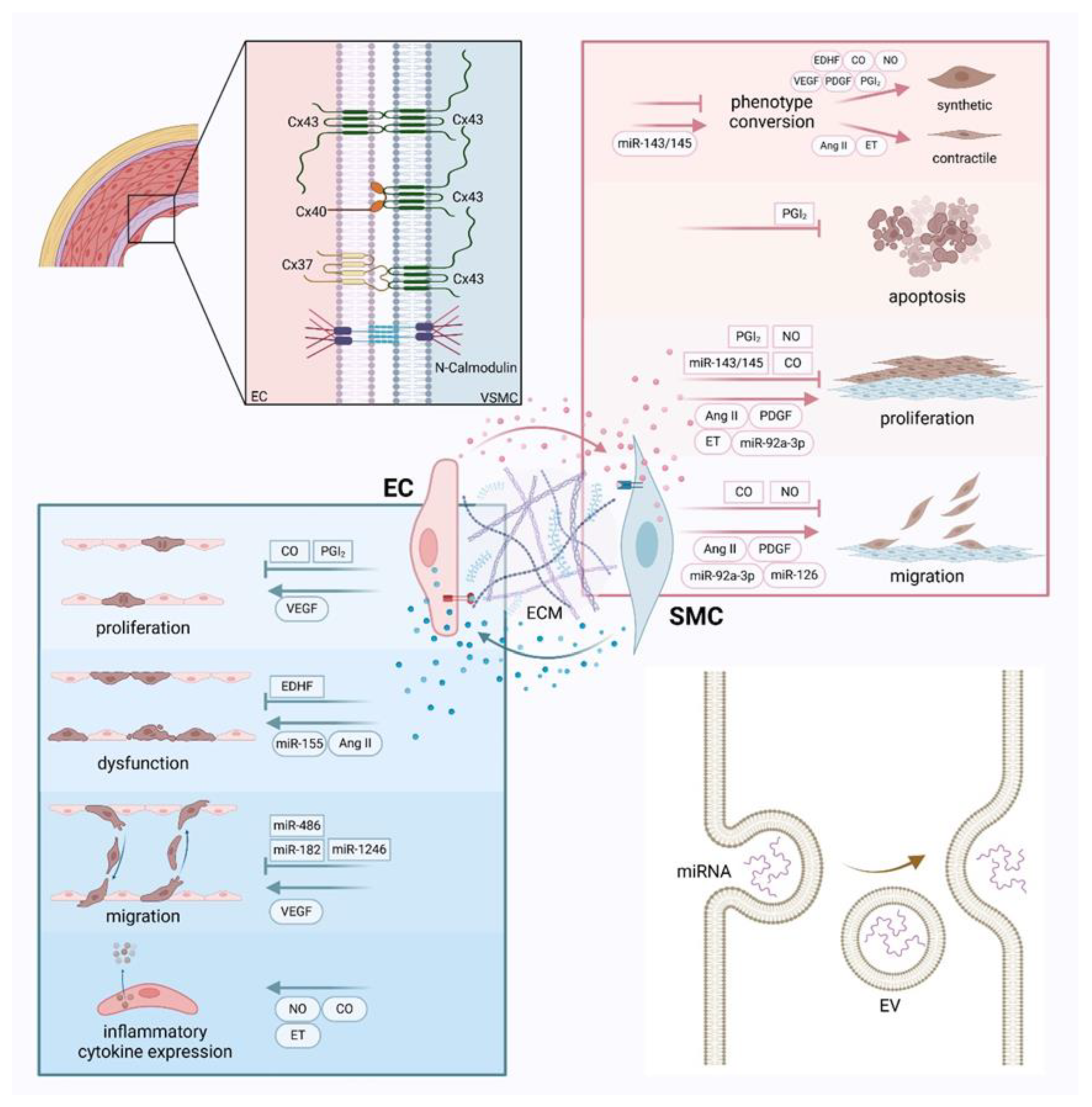 Preprints 145234 g002