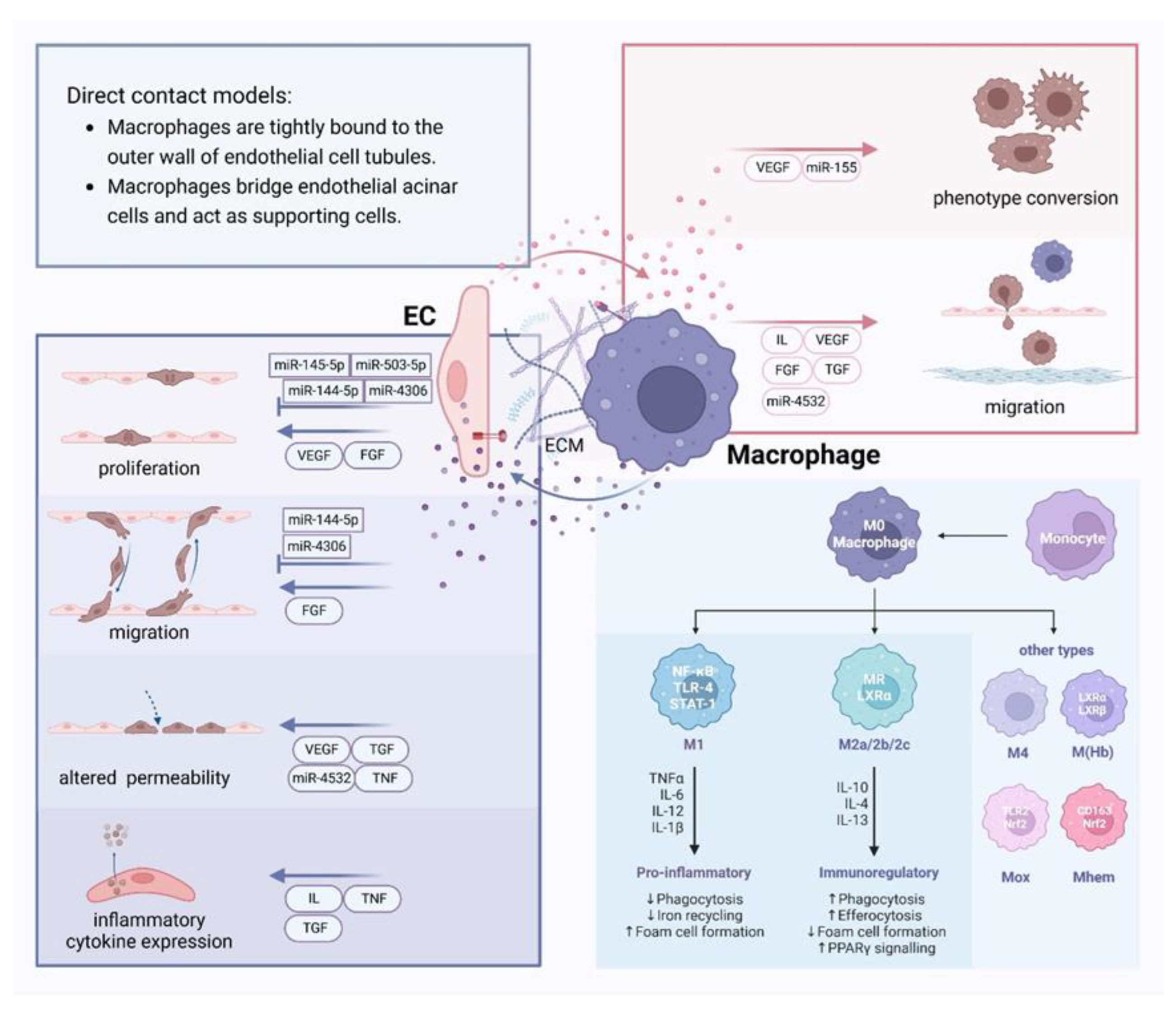 Preprints 145234 g003