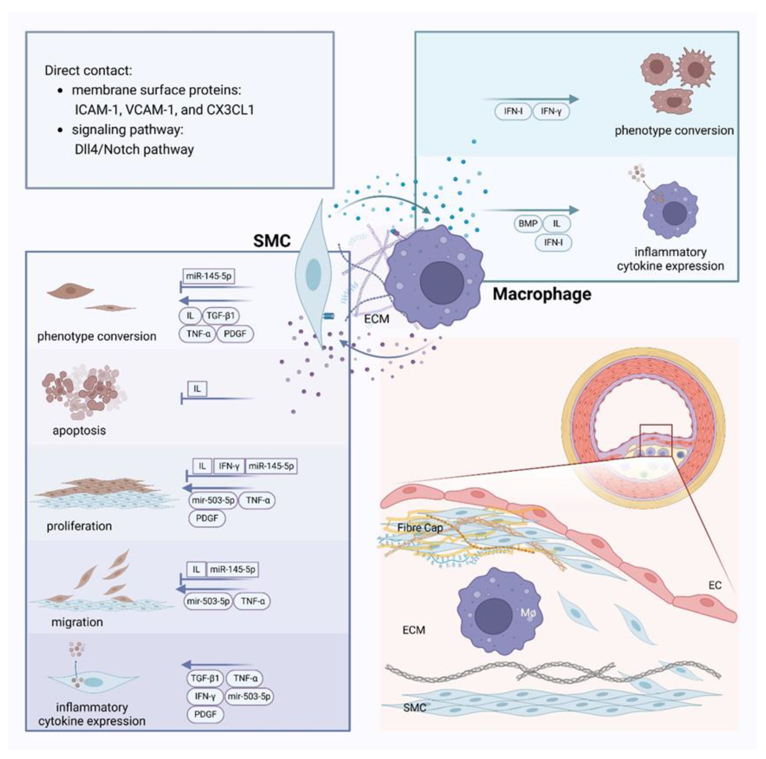 Preprints 145234 g004
