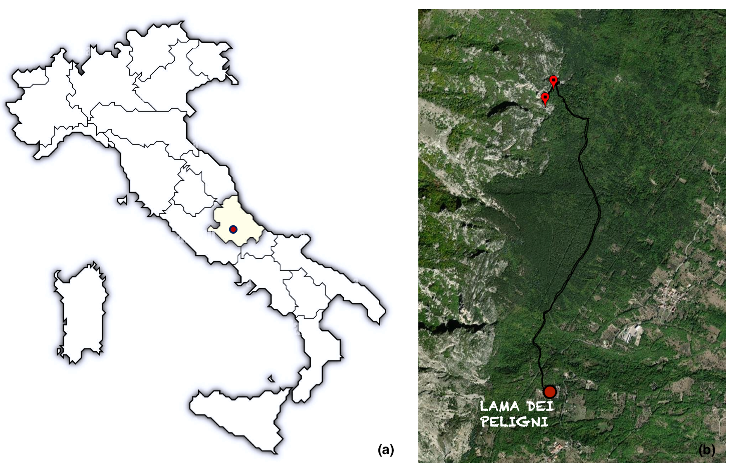 Preprints 182658 g001