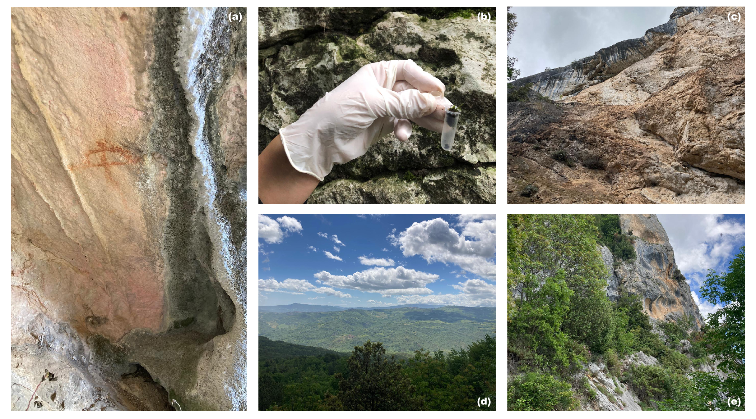 Preprints 182658 g003