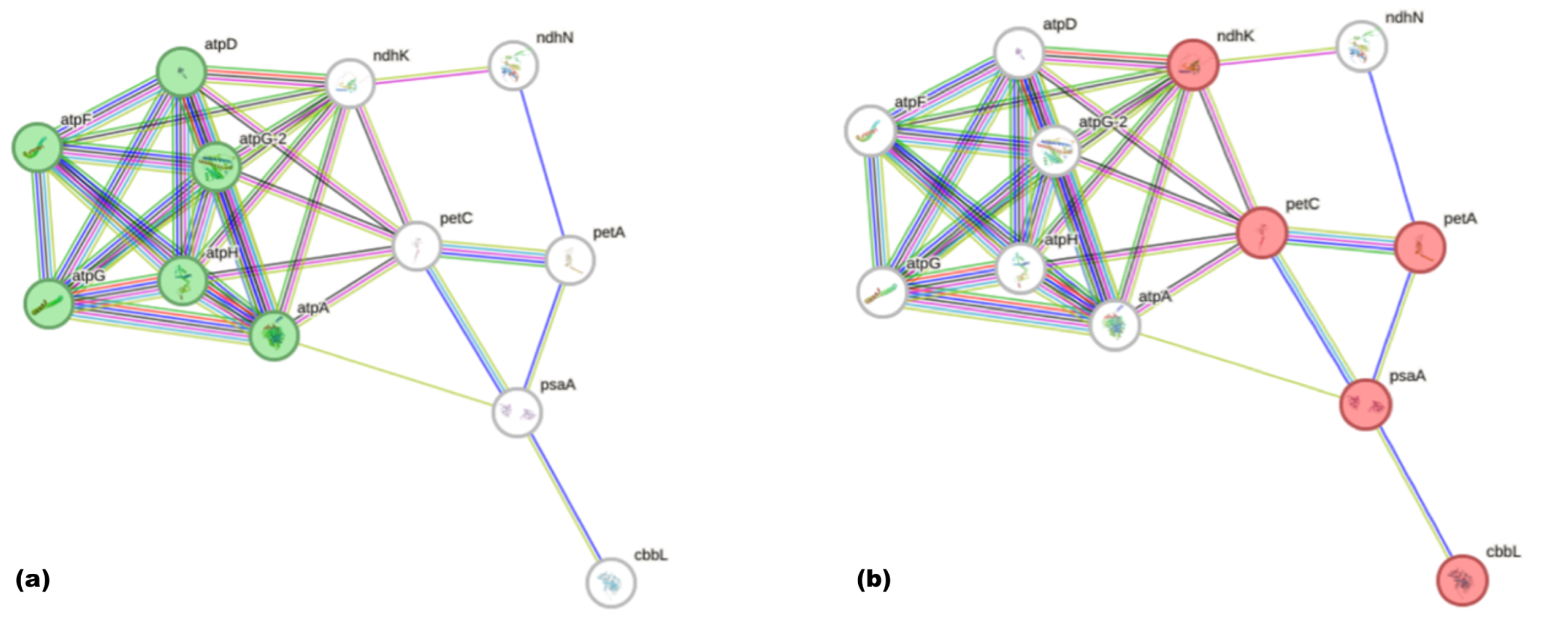 Preprints 182658 g009