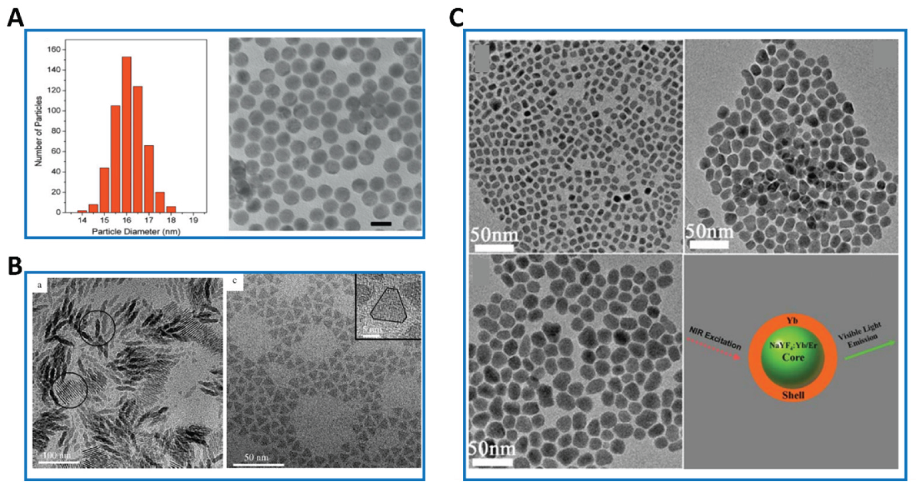 Preprints 191284 g002