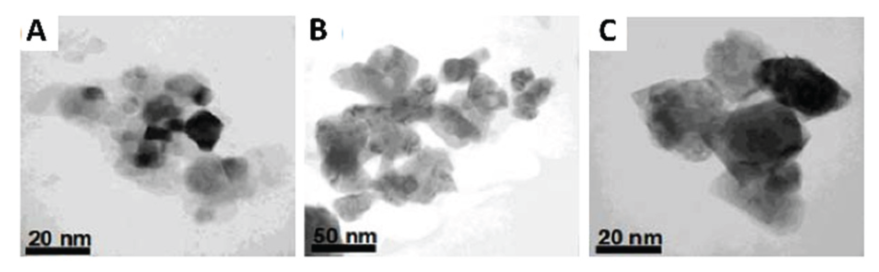 Preprints 191284 g005