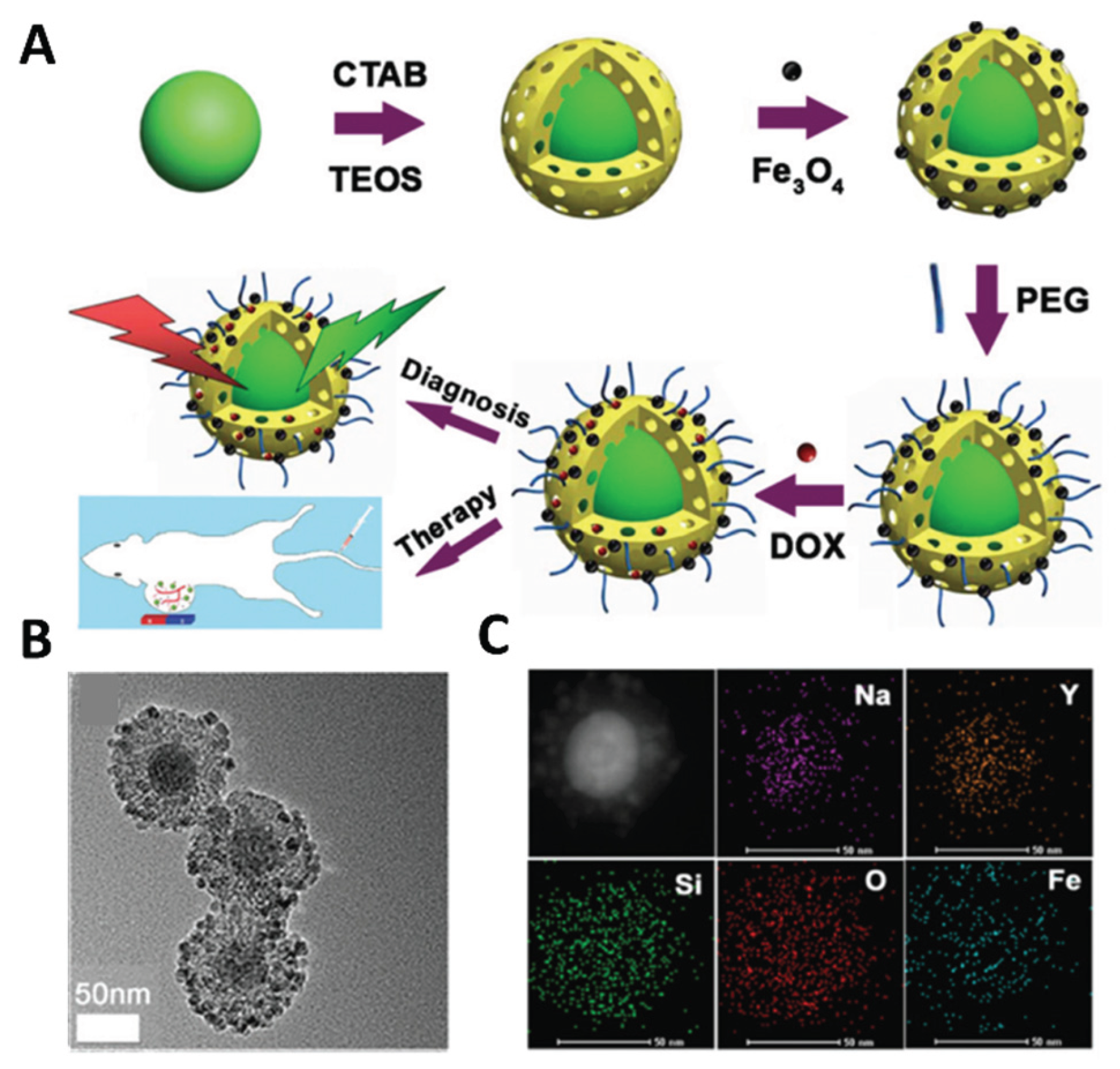 Preprints 191284 g006