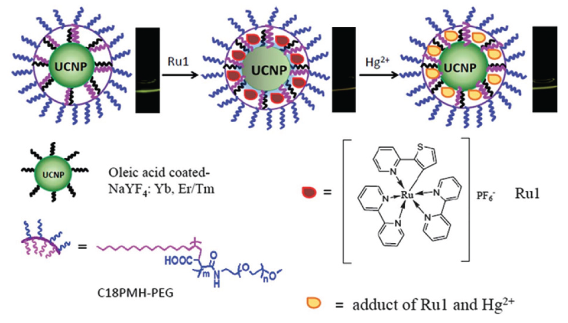 Preprints 191284 g007