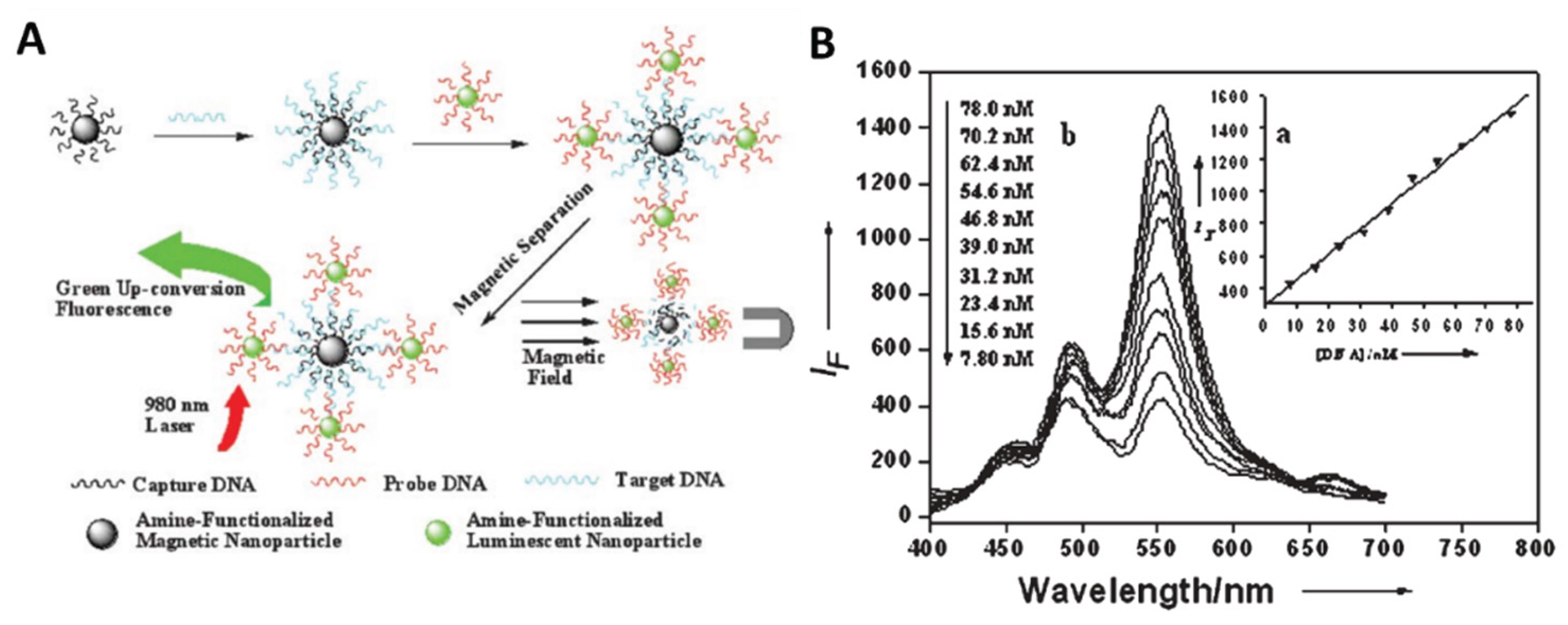 Preprints 191284 g009