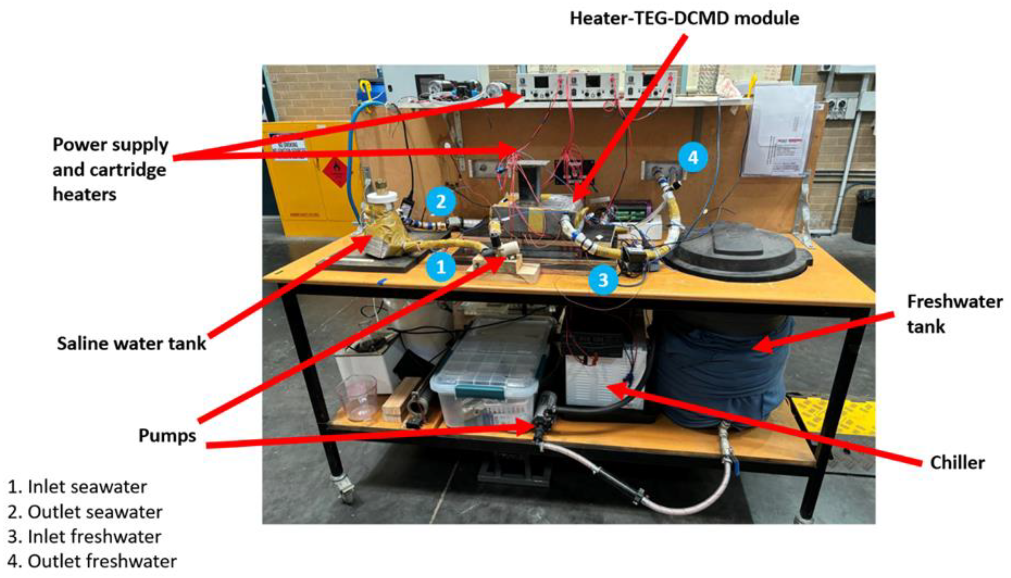 Preprints 195001 g002