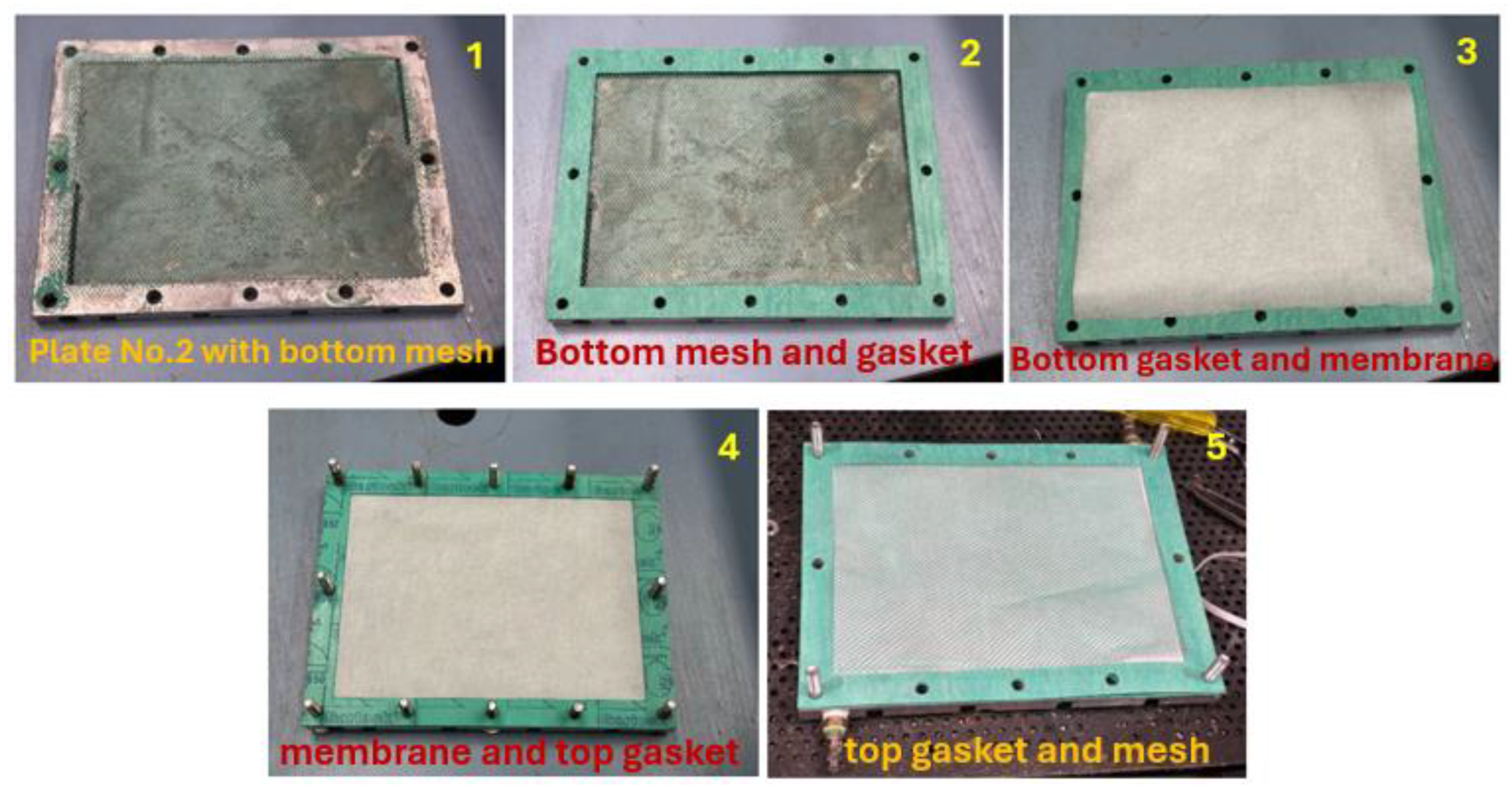 Preprints 195001 g005