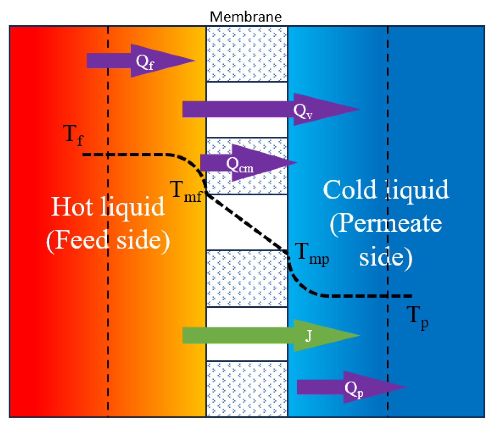 Preprints 195001 g009
