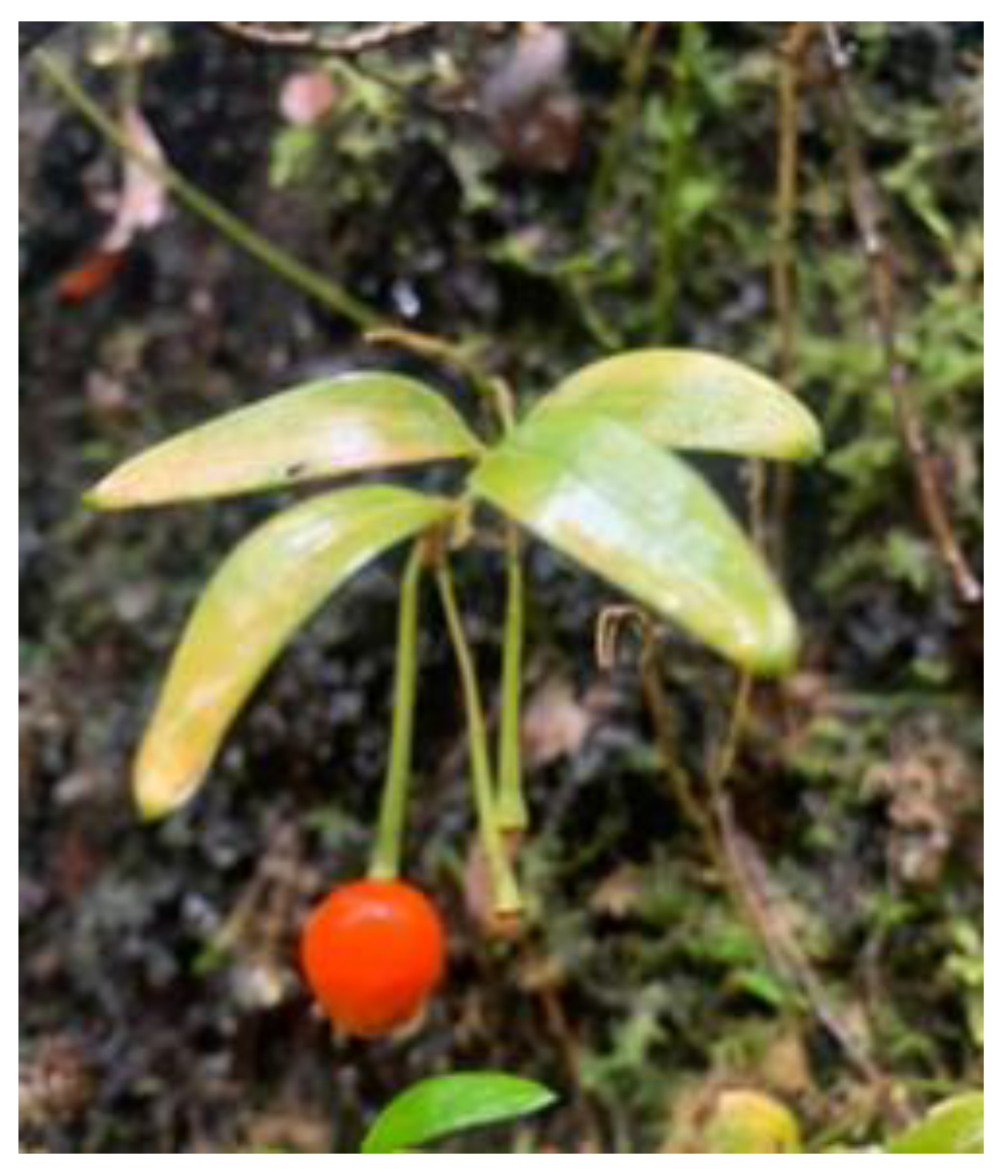 Preprints 167266 g001