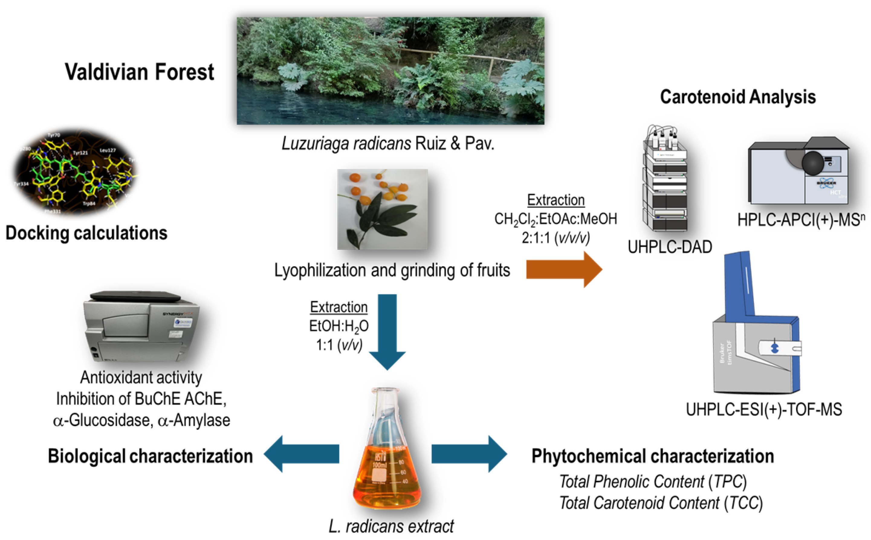 Preprints 167266 g002