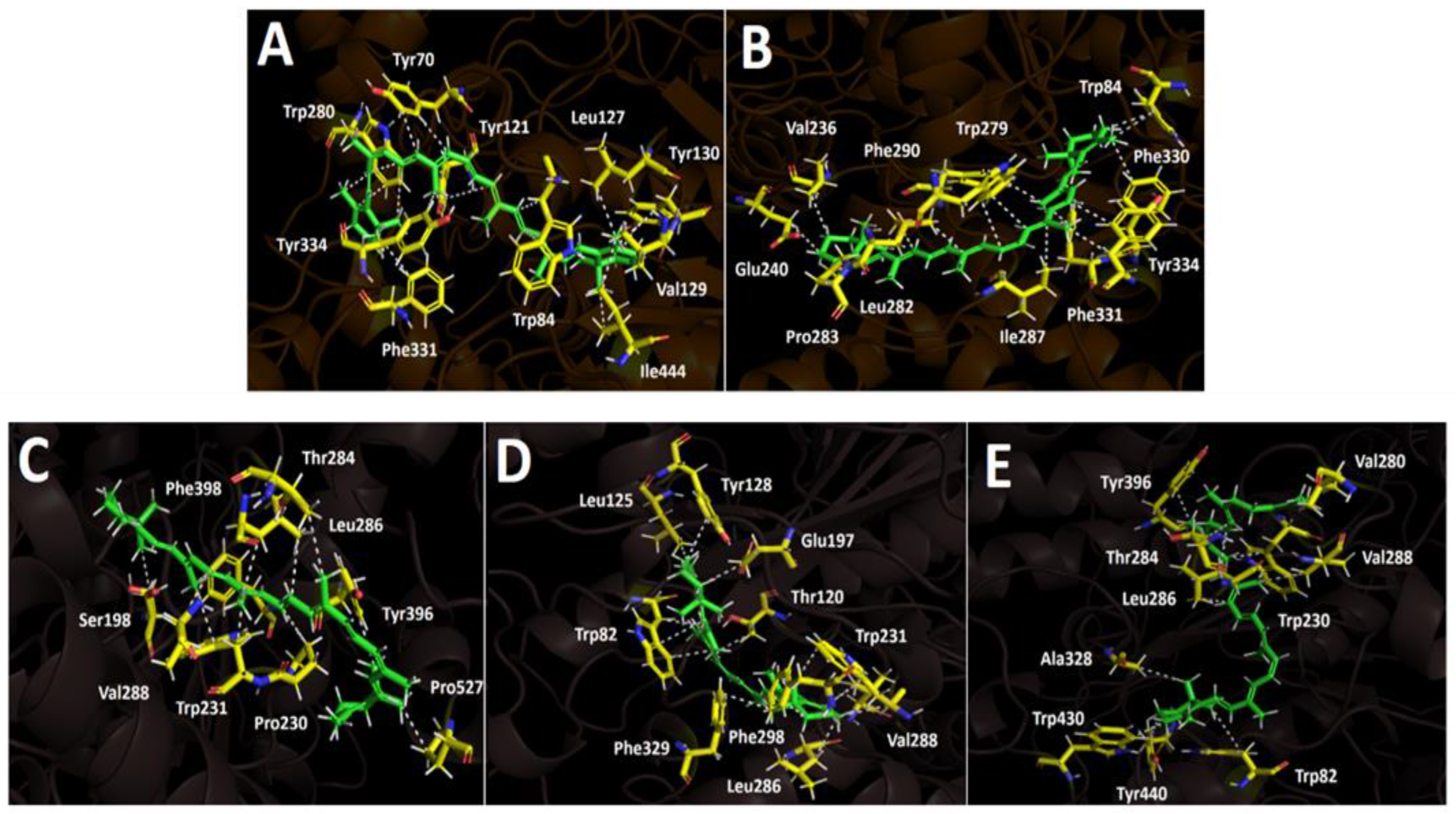 Preprints 167266 g006